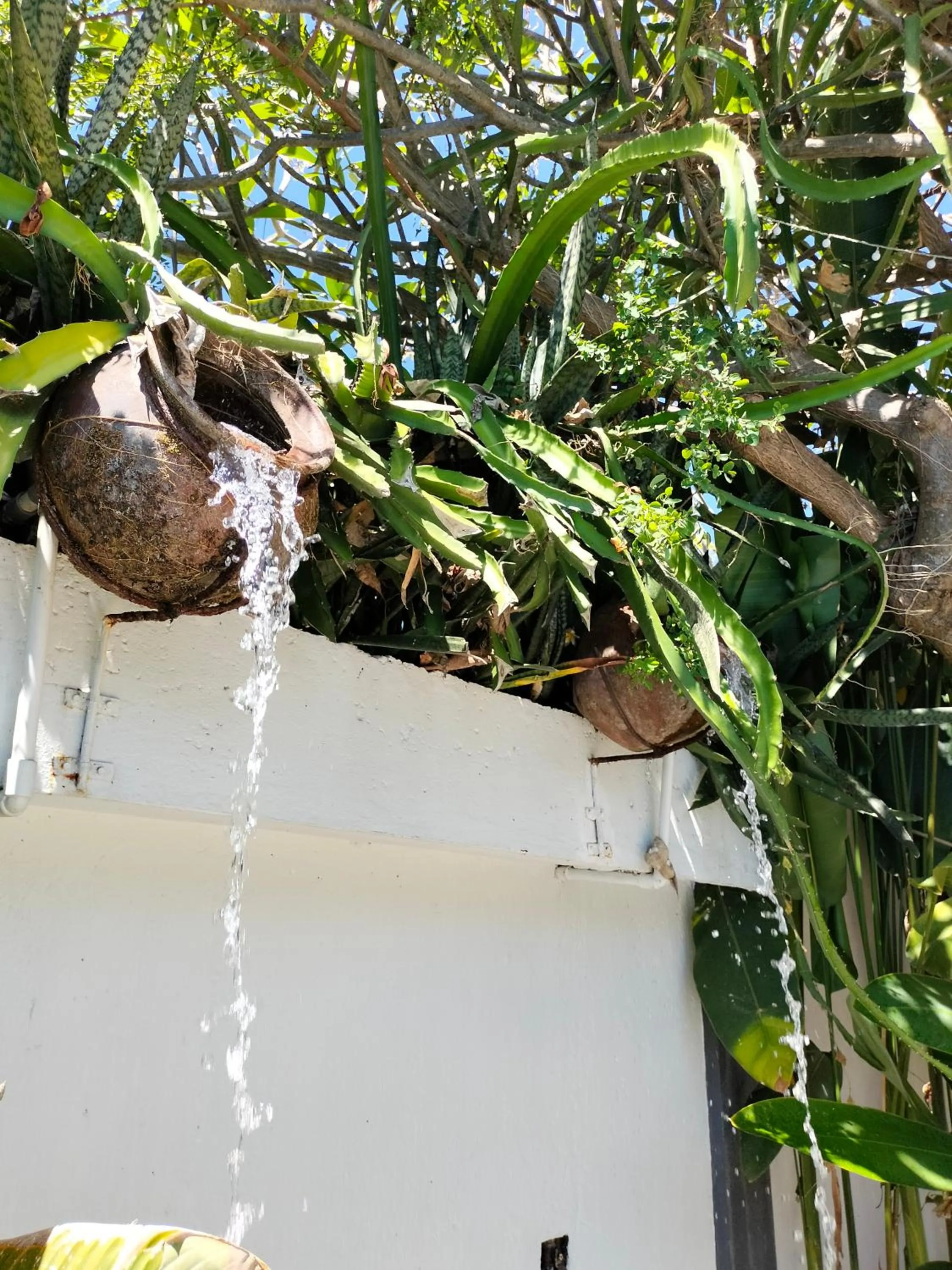 Day in Bali Diversity Dive Resort