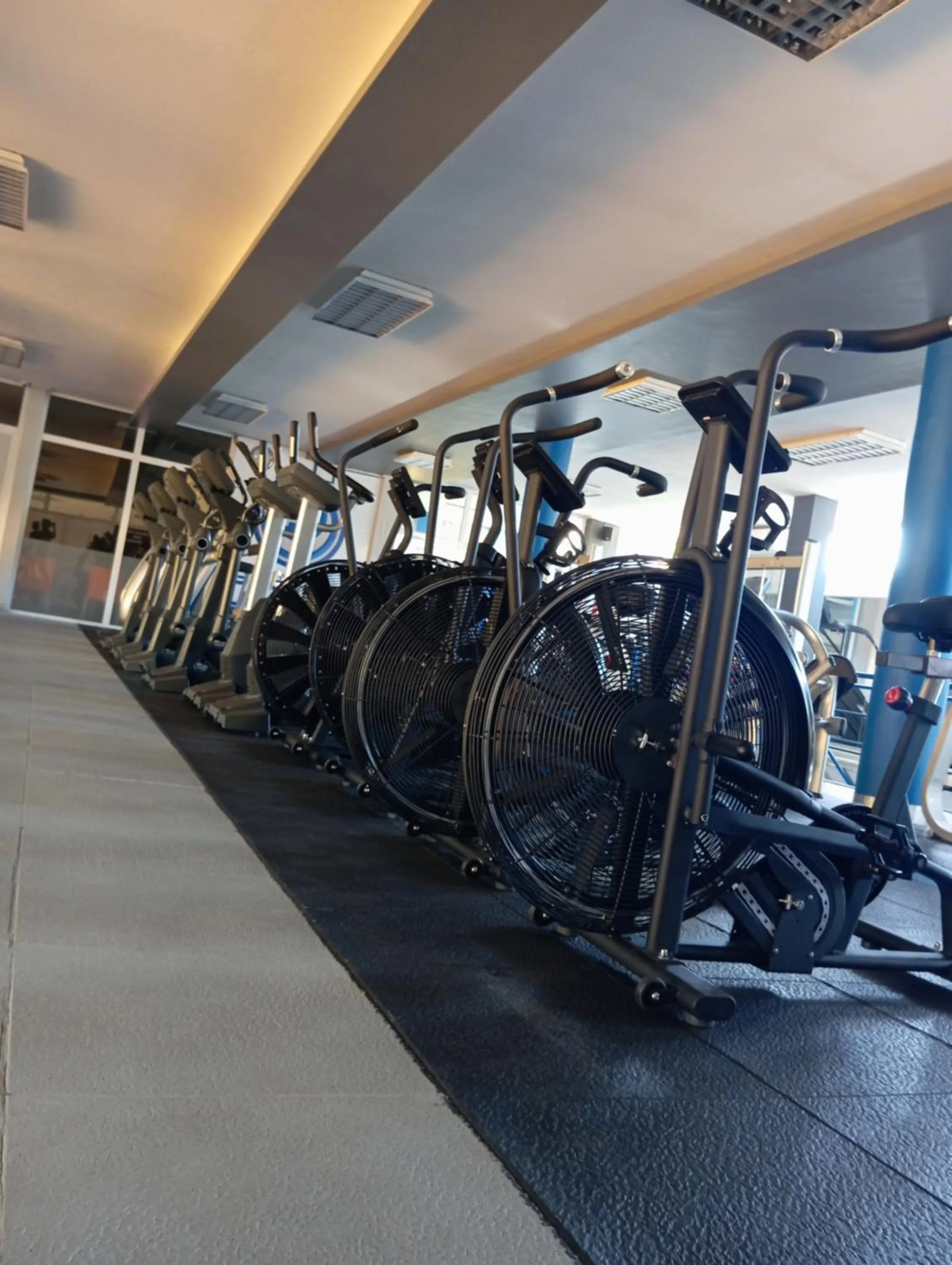 Fitness centre/facilities in Pensao Martins