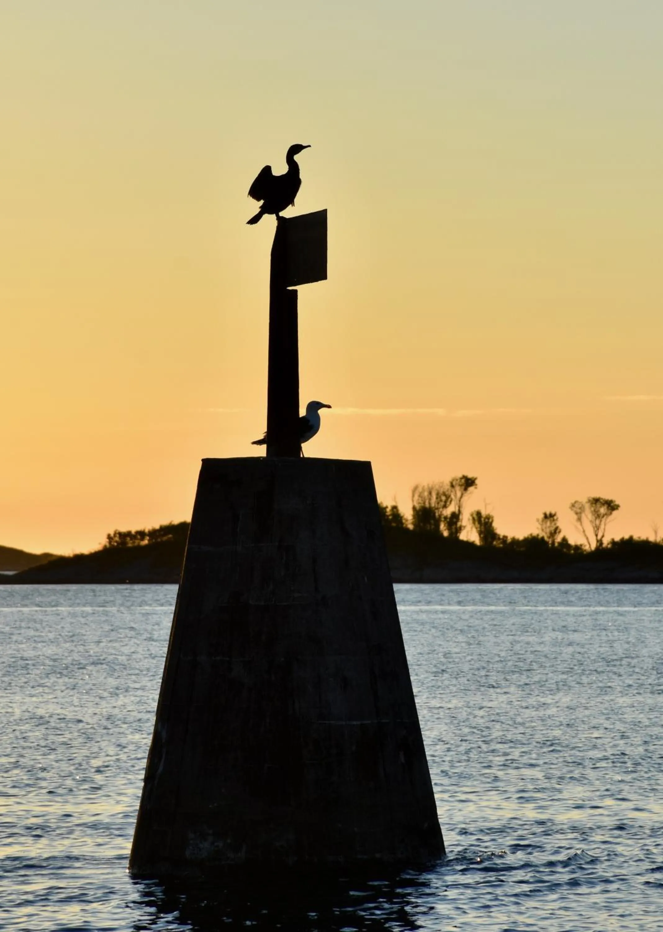 Activities in Hamn i Senja