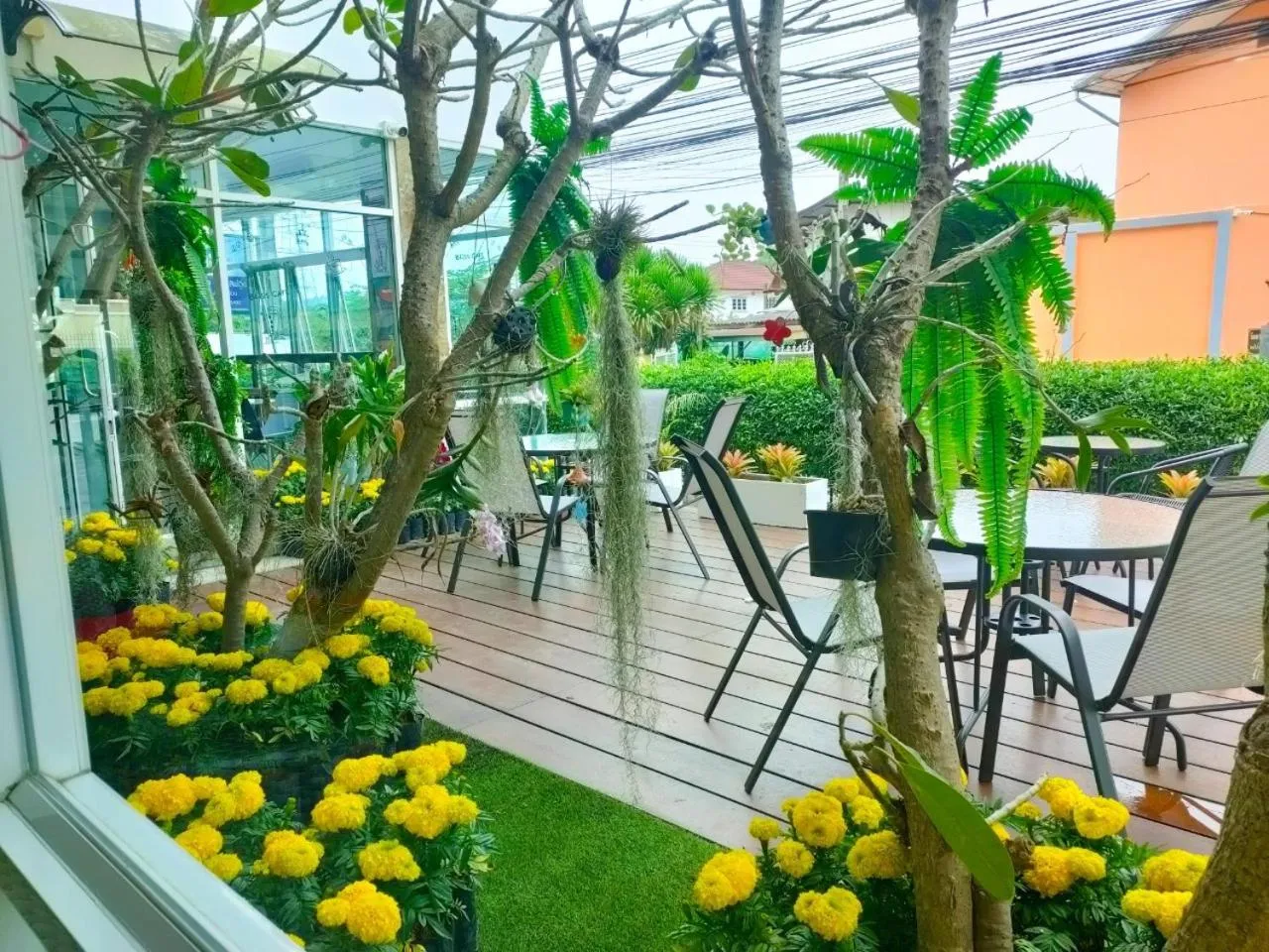 The Bliss Loei Living