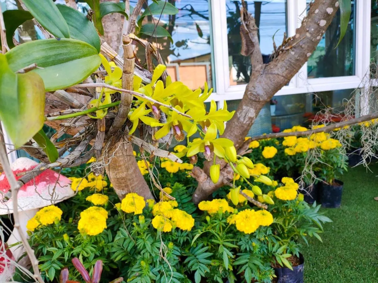 The Bliss Loei Living