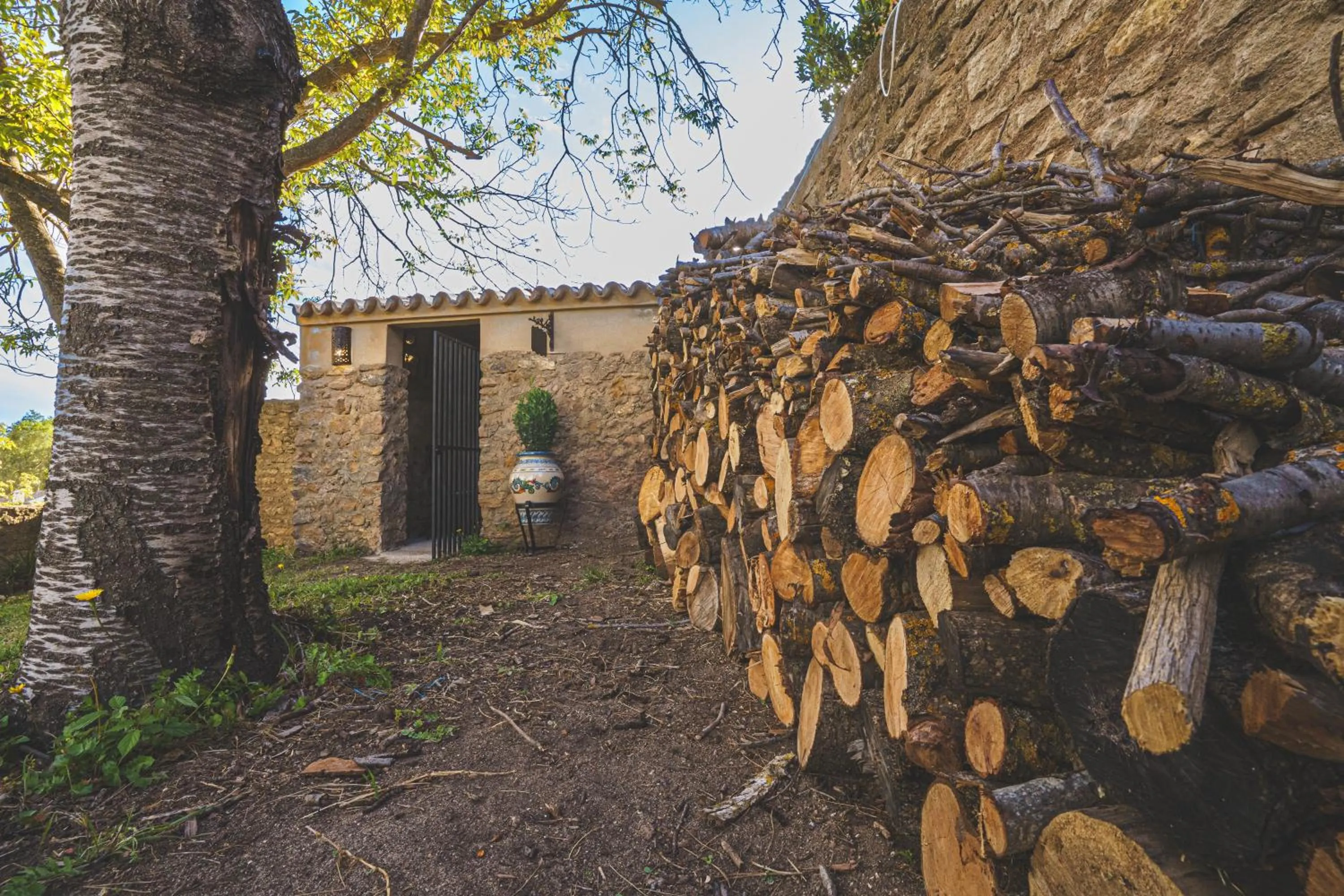 Garden in Hotel Boutique Palacio De La Duquesa