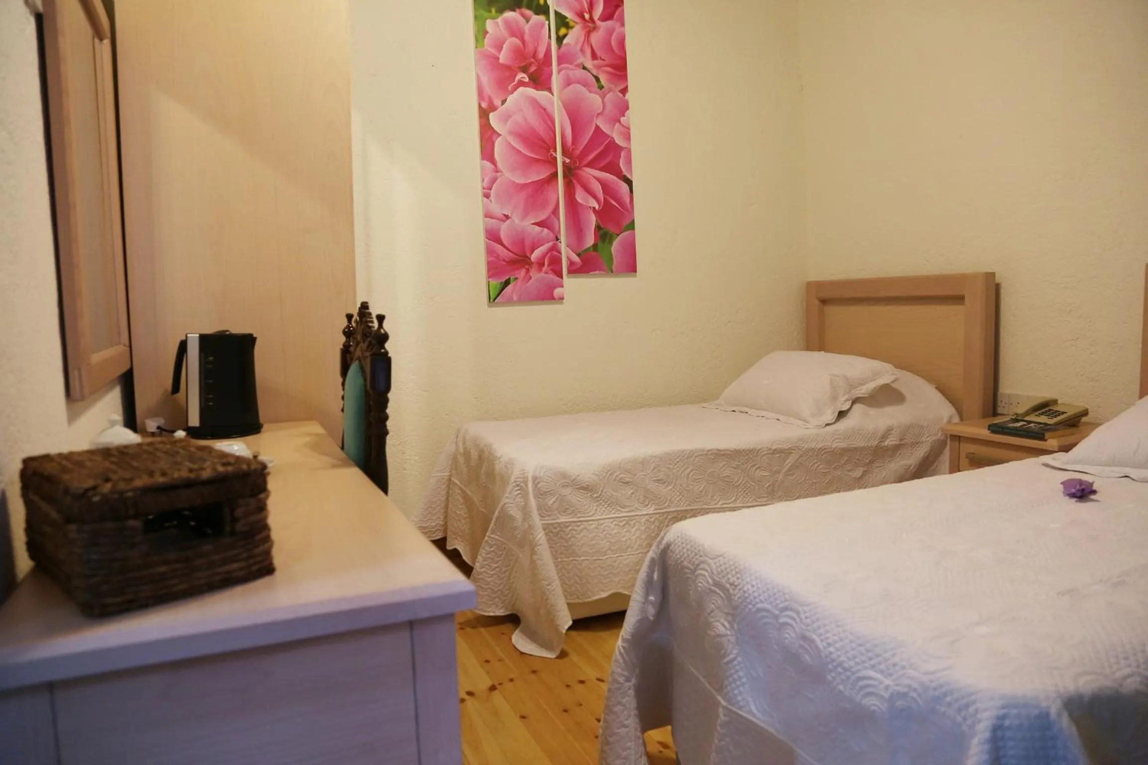 Photo of the whole room, Bed in Cypriot Swallow Boutique Hotel