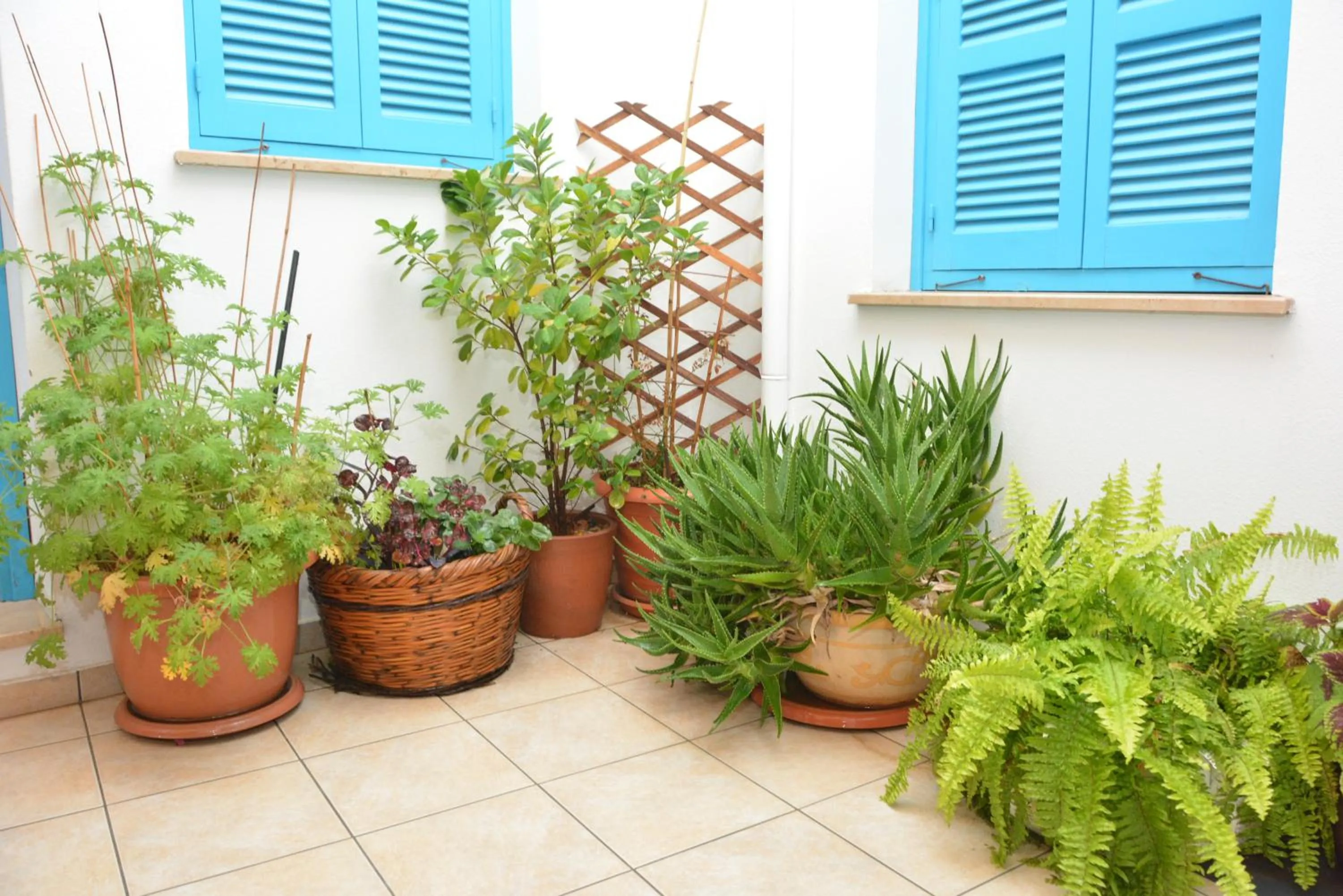 Decorative detail in Cypriot Swallow Boutique Hotel