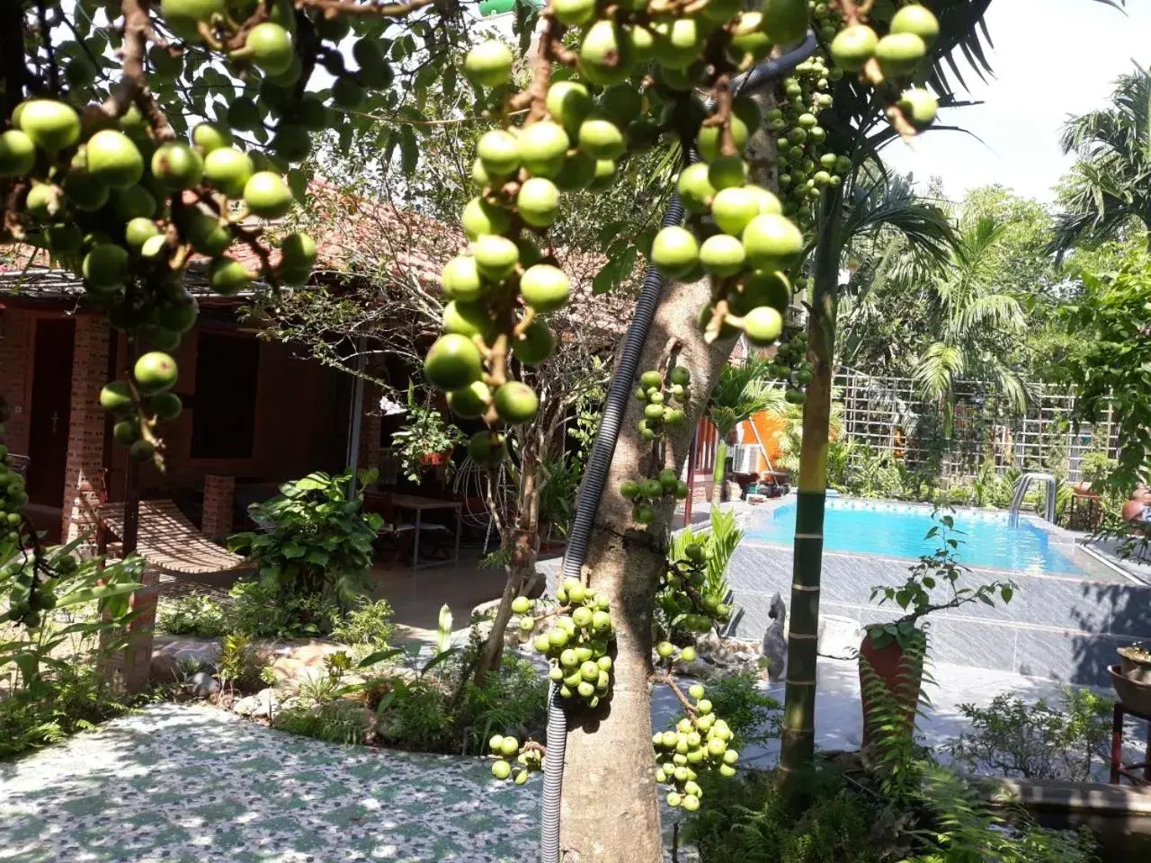 Family Room with Garden View in An Phu Homestay Family Room with Garden View in An Phu Homestay