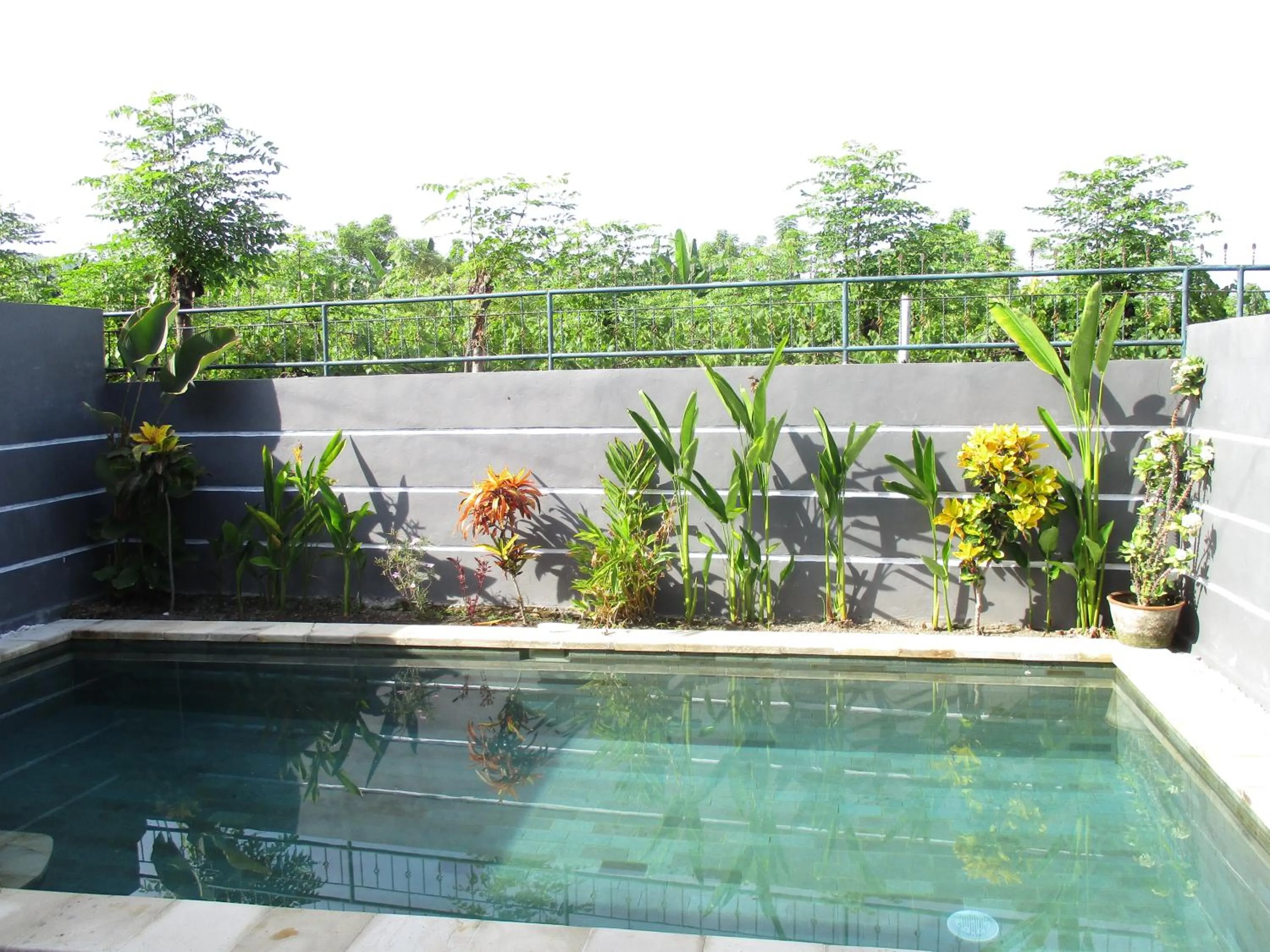 Swimming pool in Villa Dencarik