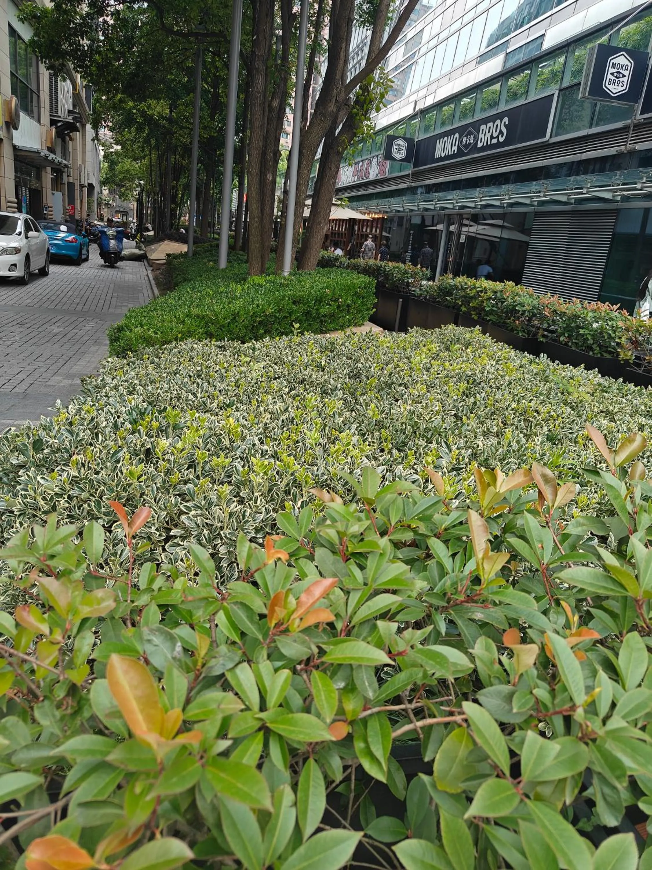 Garden in Atour X Hotel West Nanjing Road