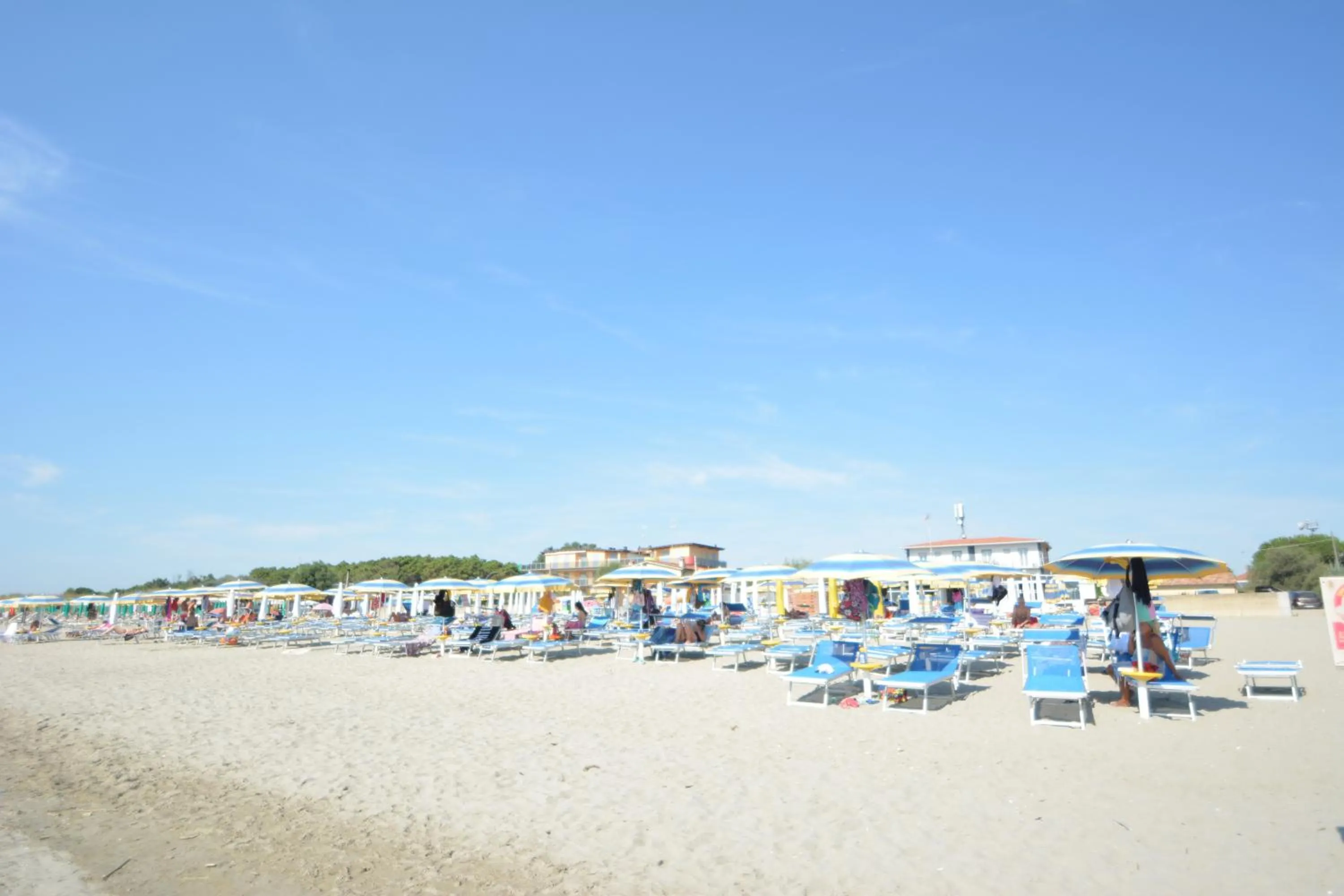 Beach in Hotel BELLA ROMAGNA