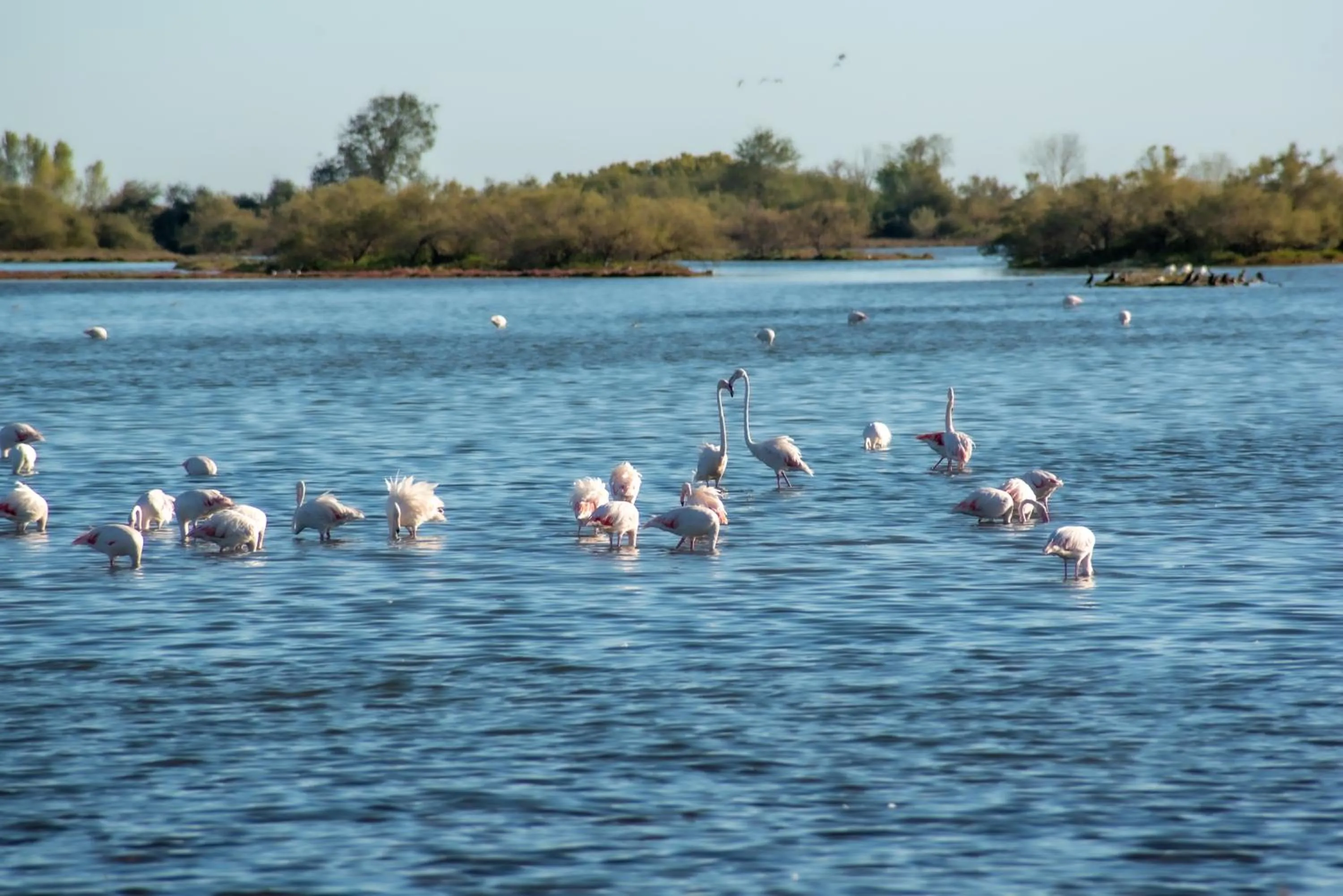 View (from property/room) in Hotel Caneo