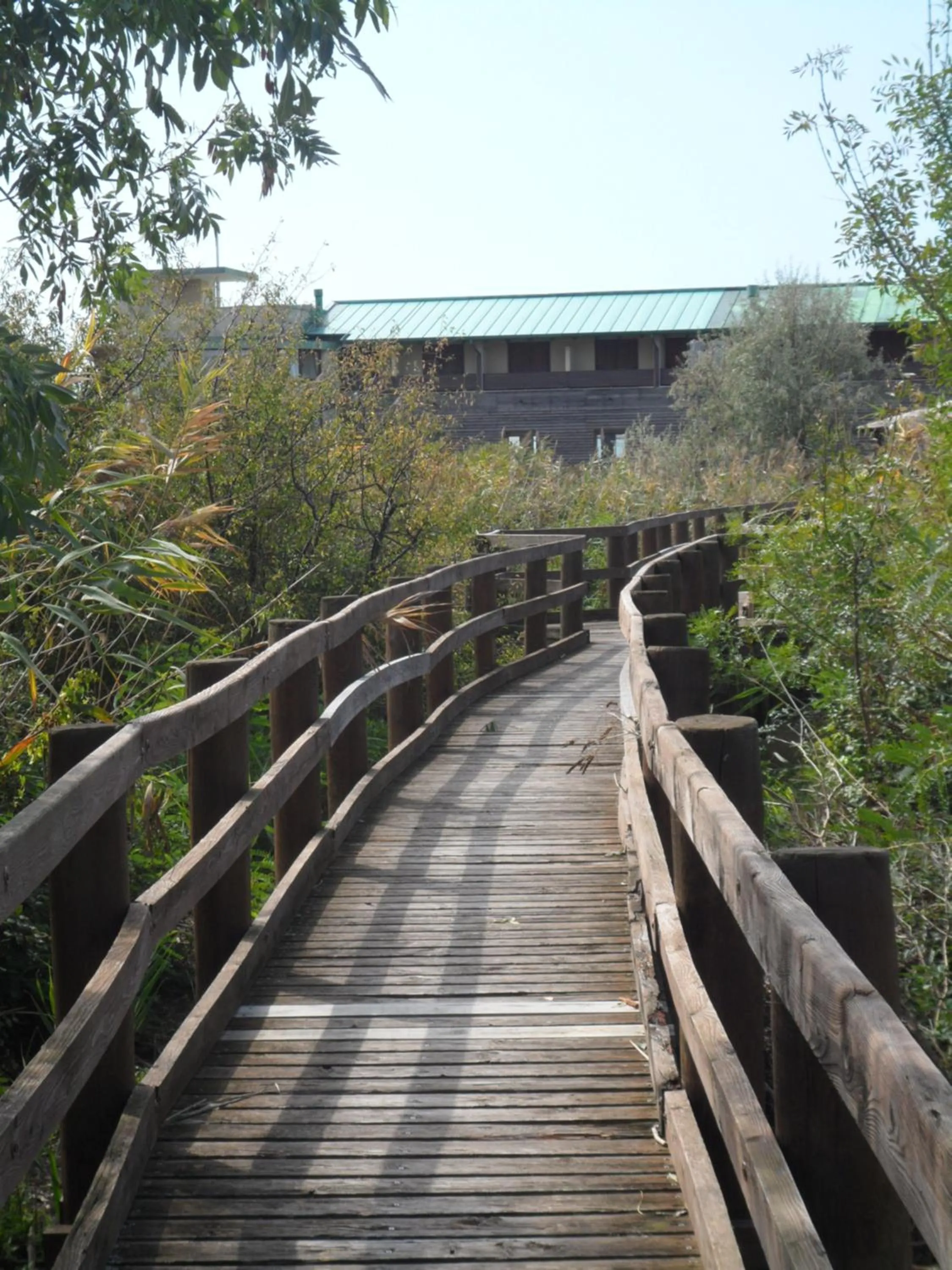 Other in Hotel Caneo