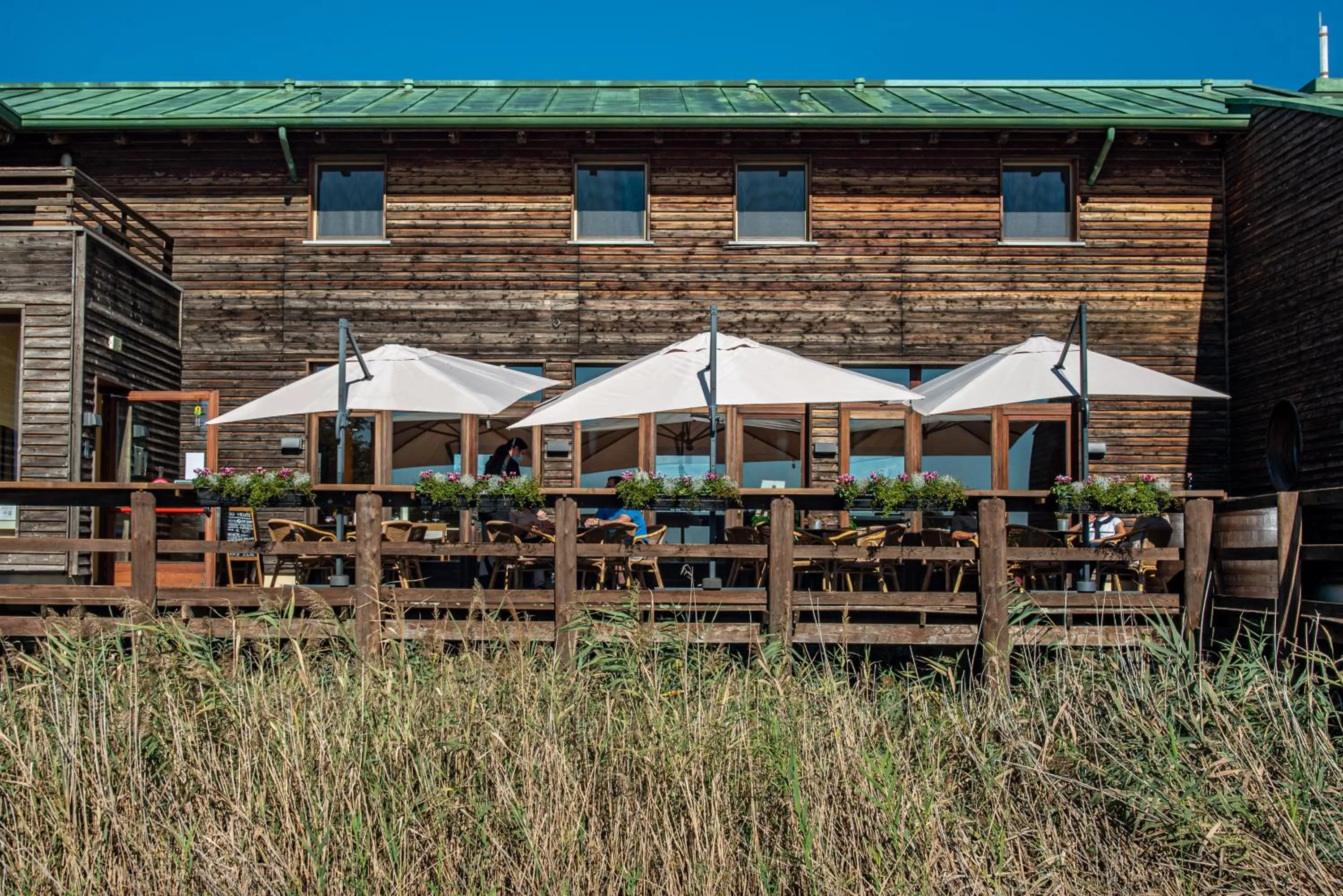 Balcony/Terrace in Hotel Caneo