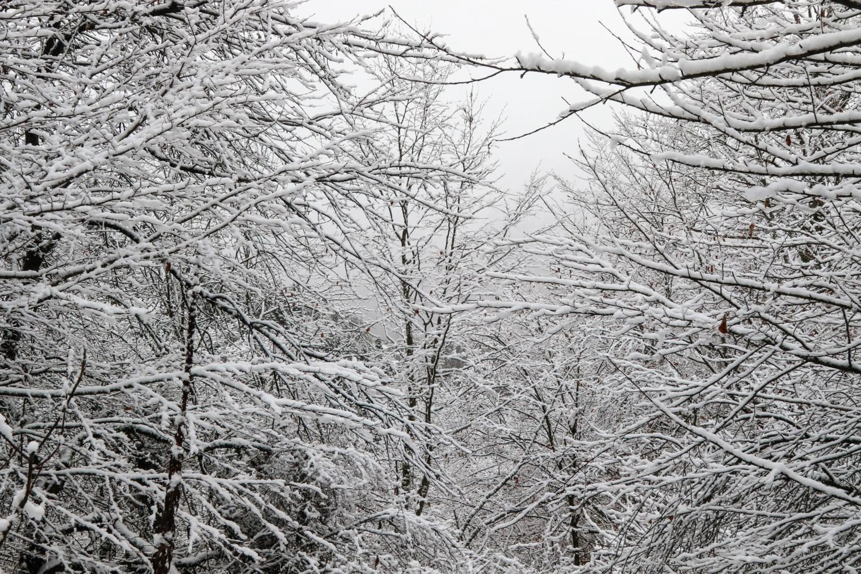Natural landscape in Villa Mtashi