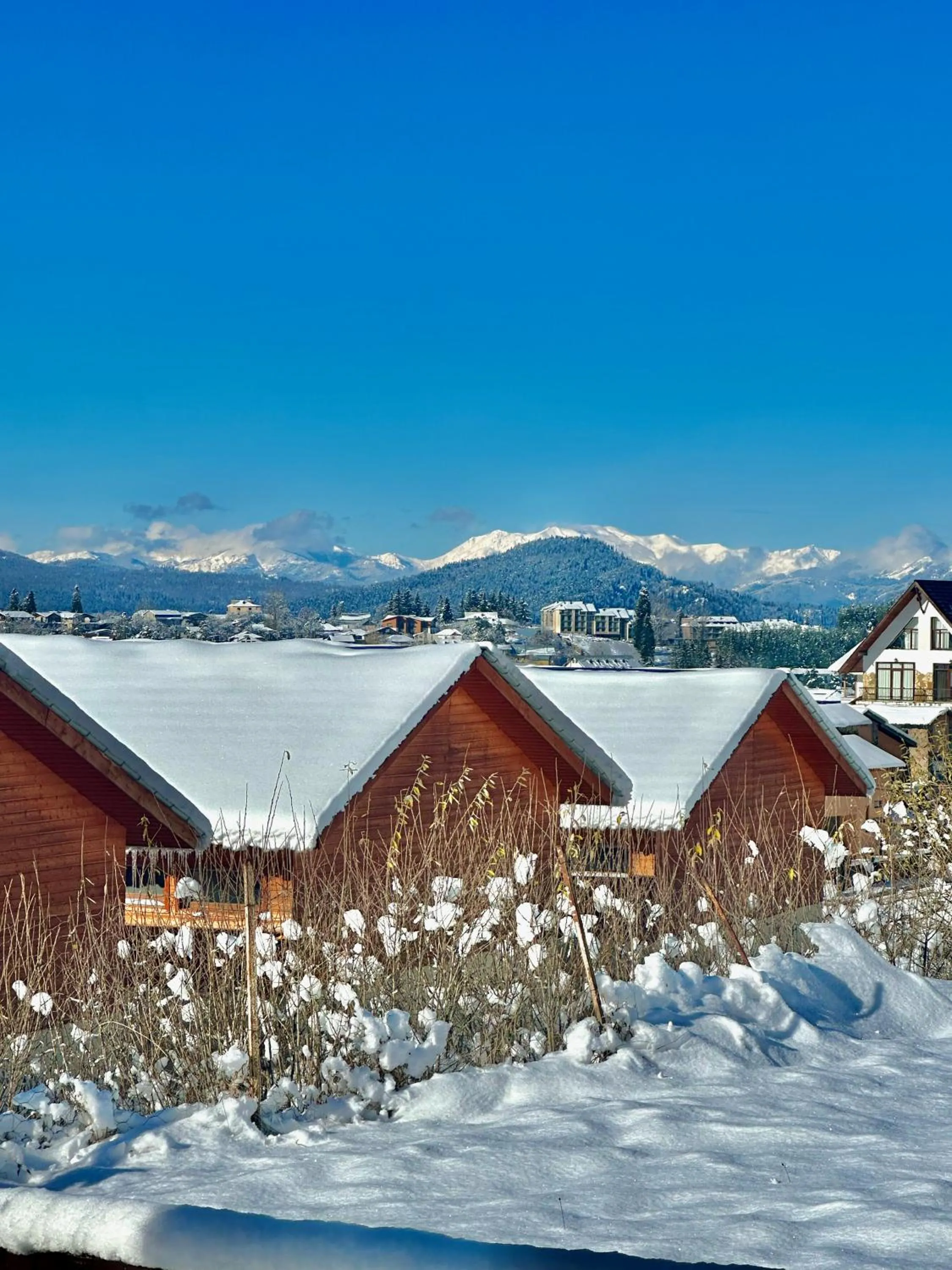 Natural landscape in Villa Mtashi