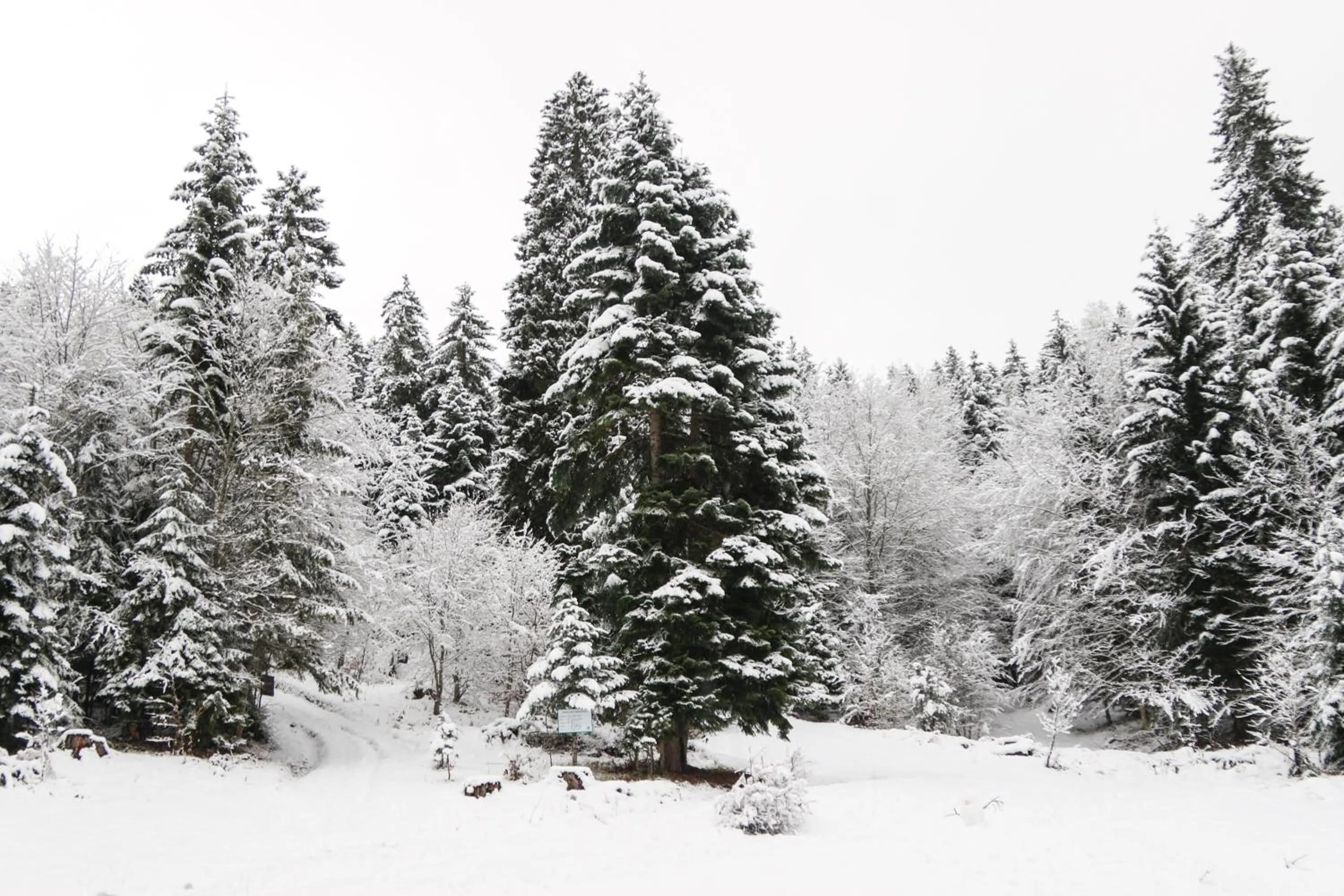 Natural landscape in Villa Mtashi