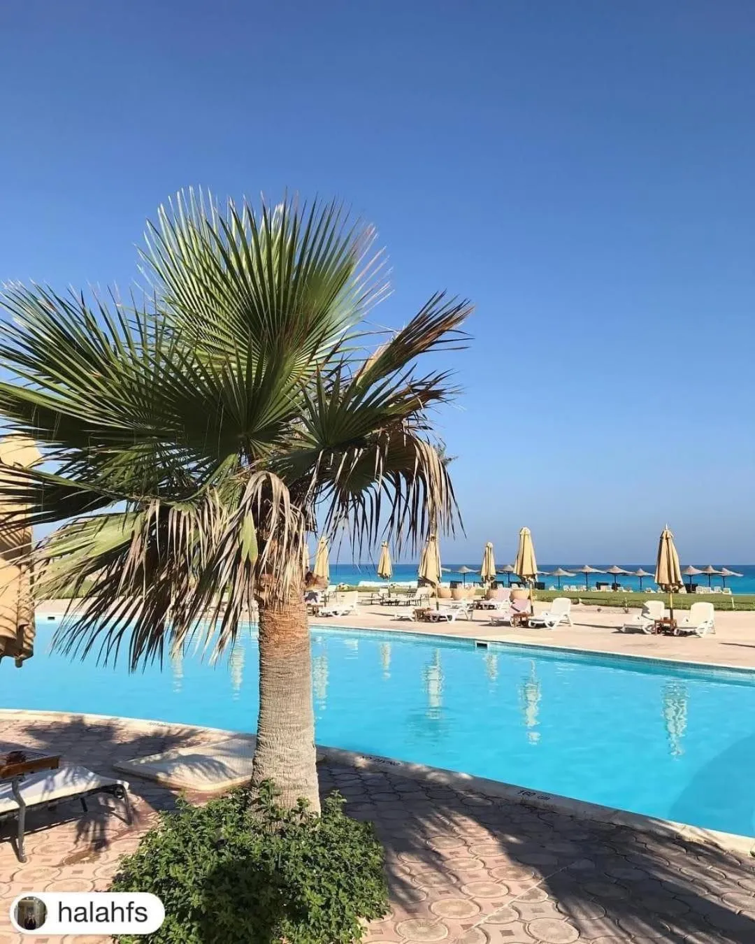 Borg El Arab Beach Resort