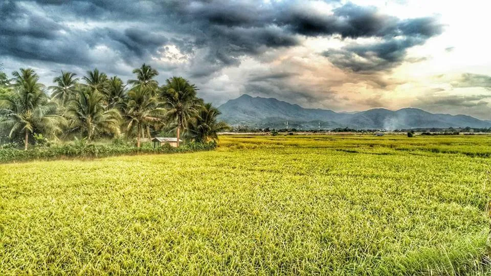 Natural landscape in Above The Sea Maesariang
