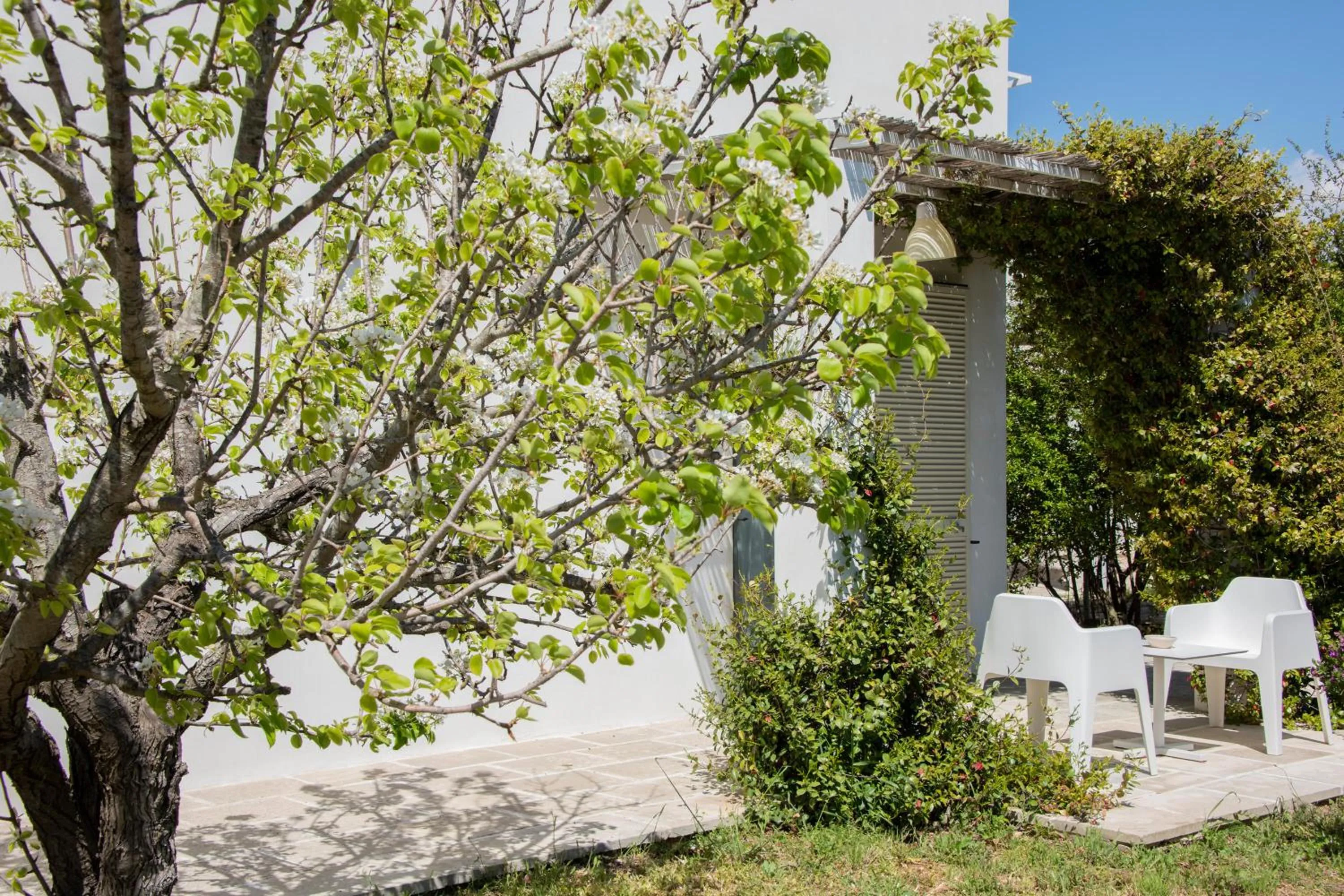 Patio in Masseria Agriturismo Faresalento