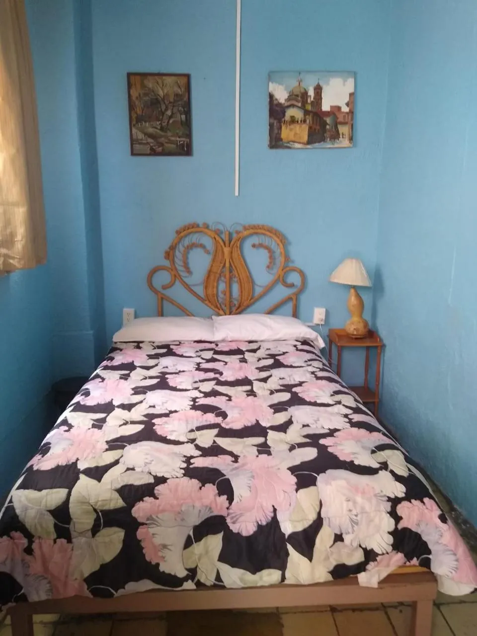 Double Room - single occupancy in Hostal Don Felipe