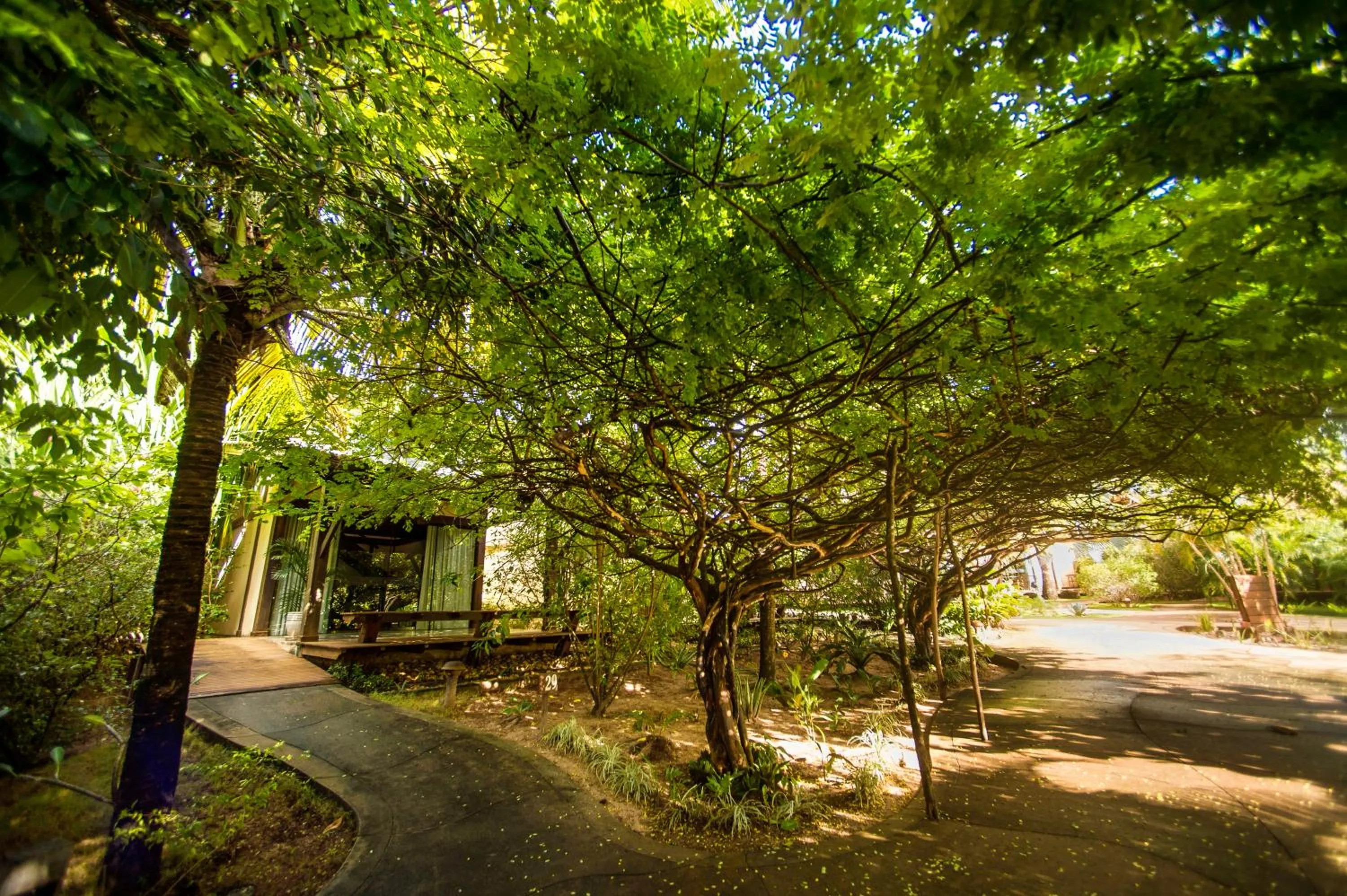 Garden view in Bupitanga Hotel