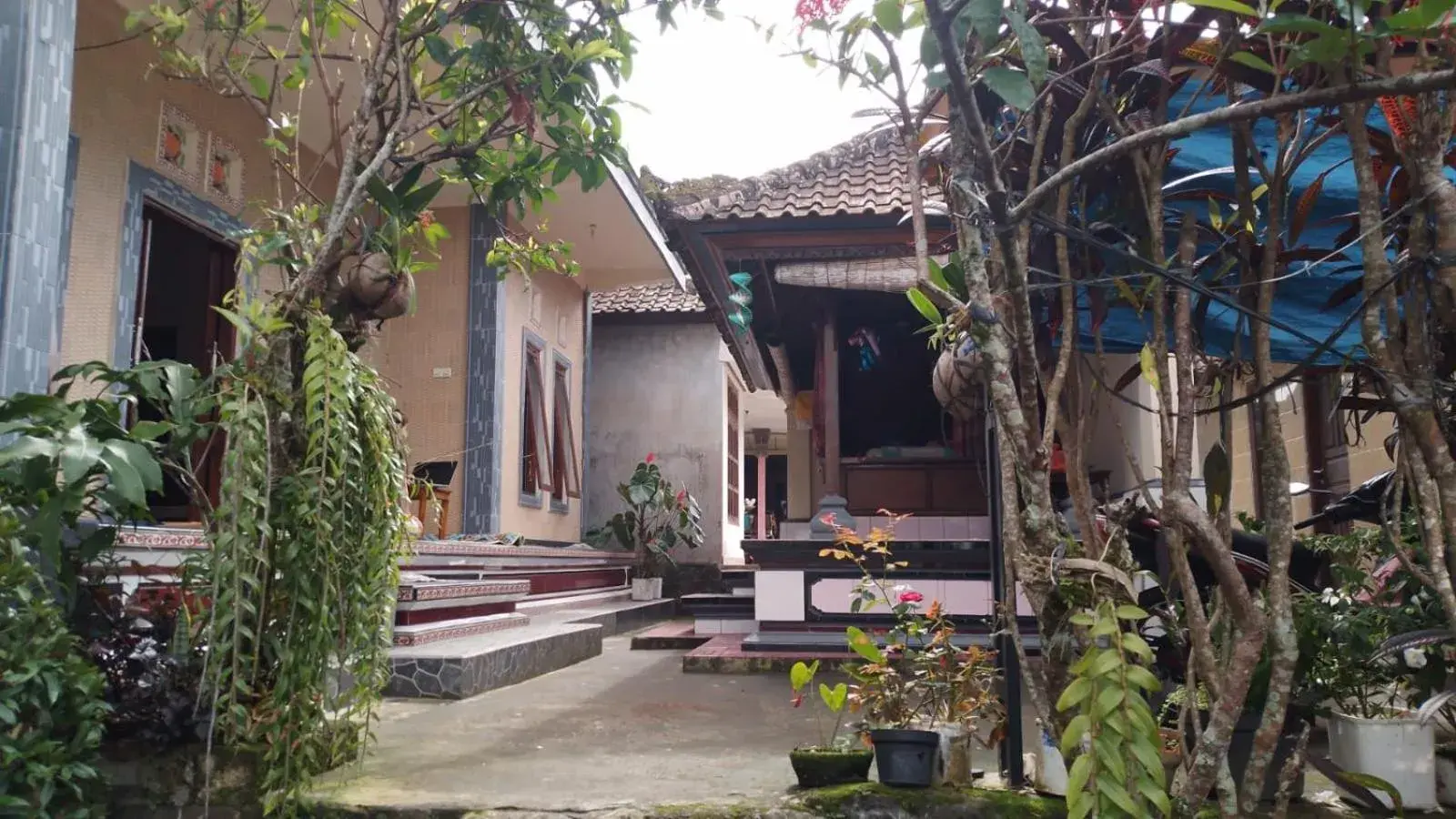 Property building in Anish Homestay Jatiluwih Tabanan Property building in Anish Homestay Jatiluwih Tabanan