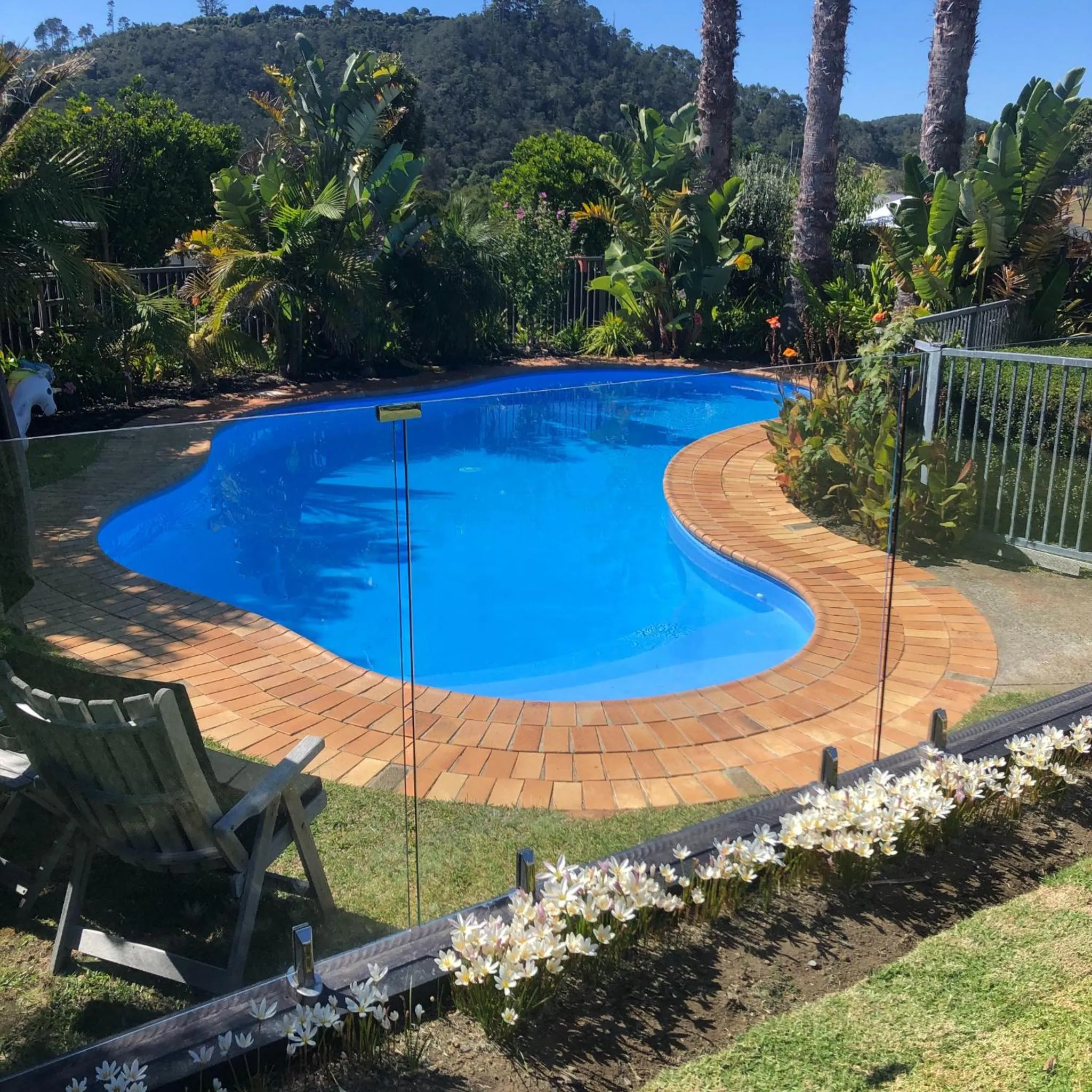 Swimming pool in Hahei Bed and Breakfast