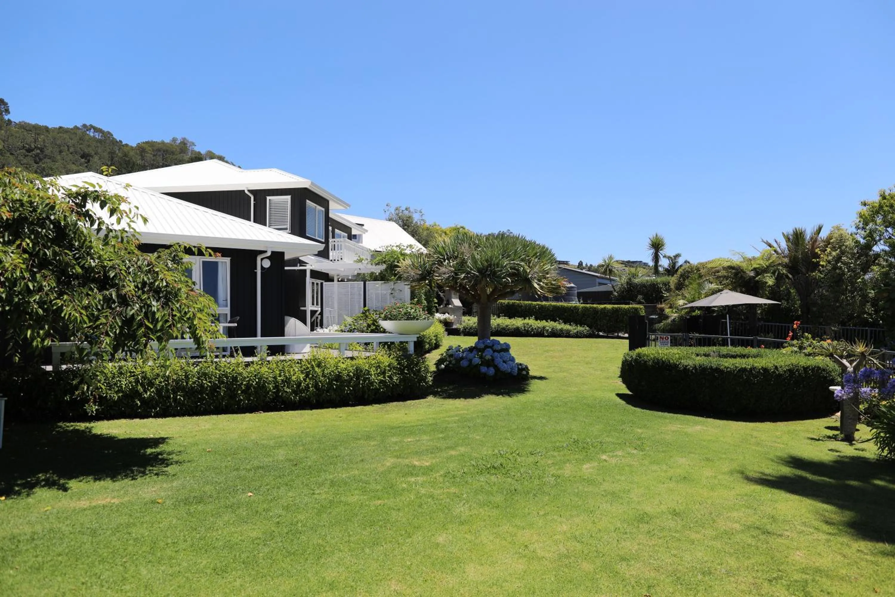 Natural landscape in Hahei Bed and Breakfast