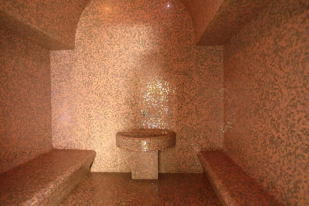 Sauna in Domaine d'Agrippa Valence