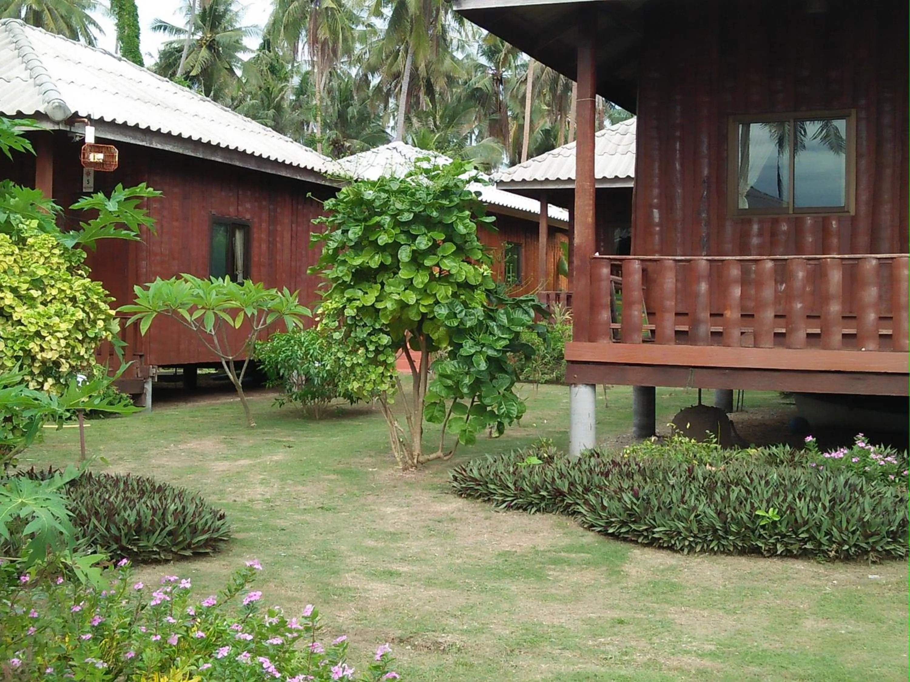 Natural landscape in Happy Days Resort