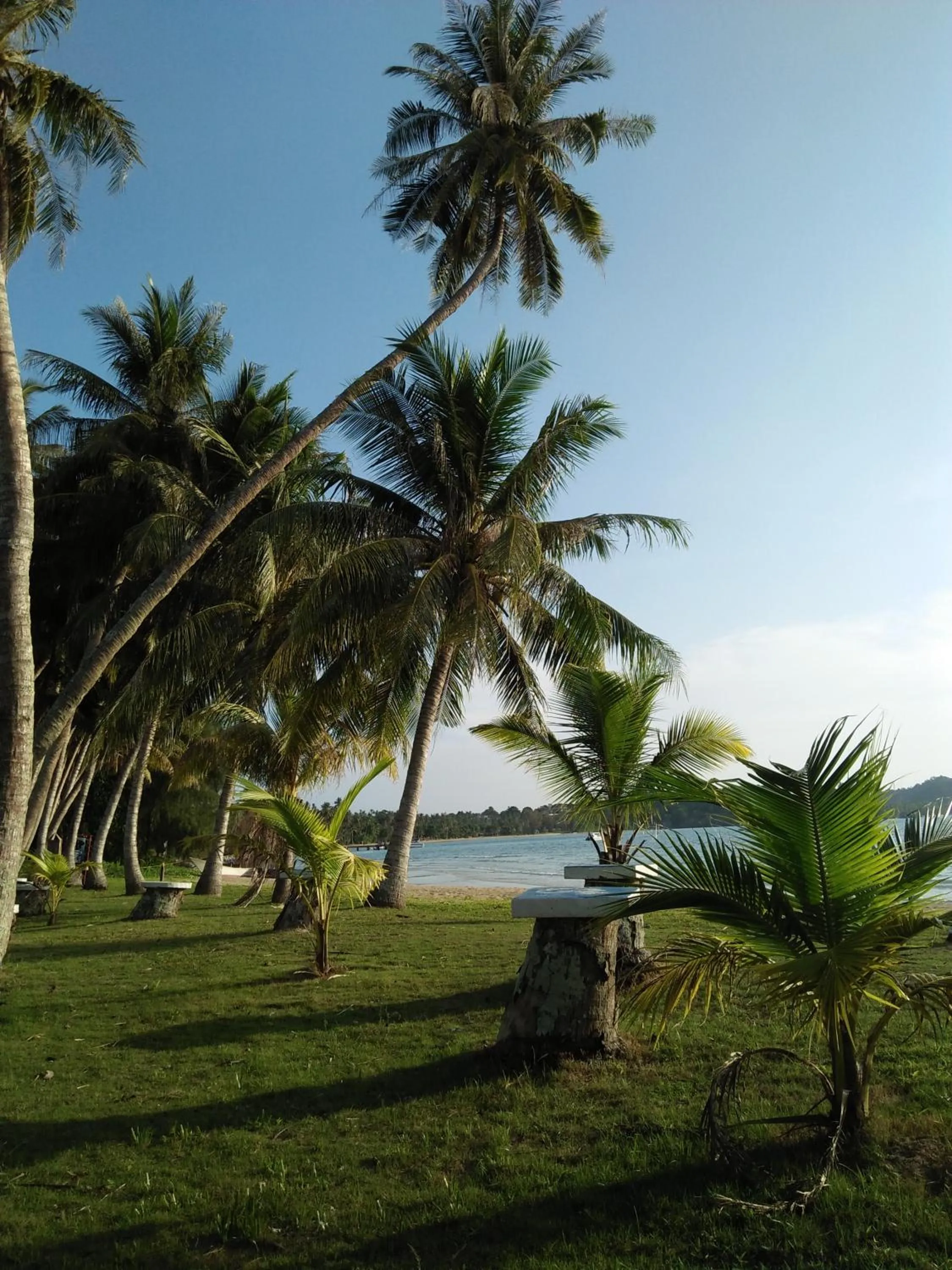 Natural landscape in Happy Days Resort