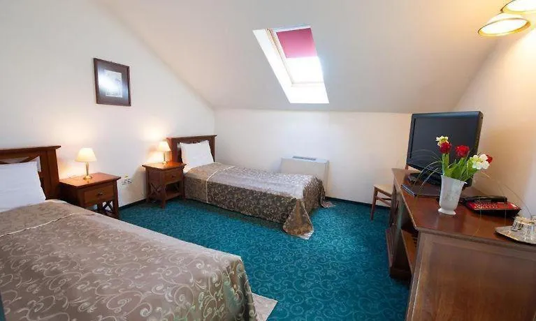 Twin Room - single occupancy in Hotel Ana