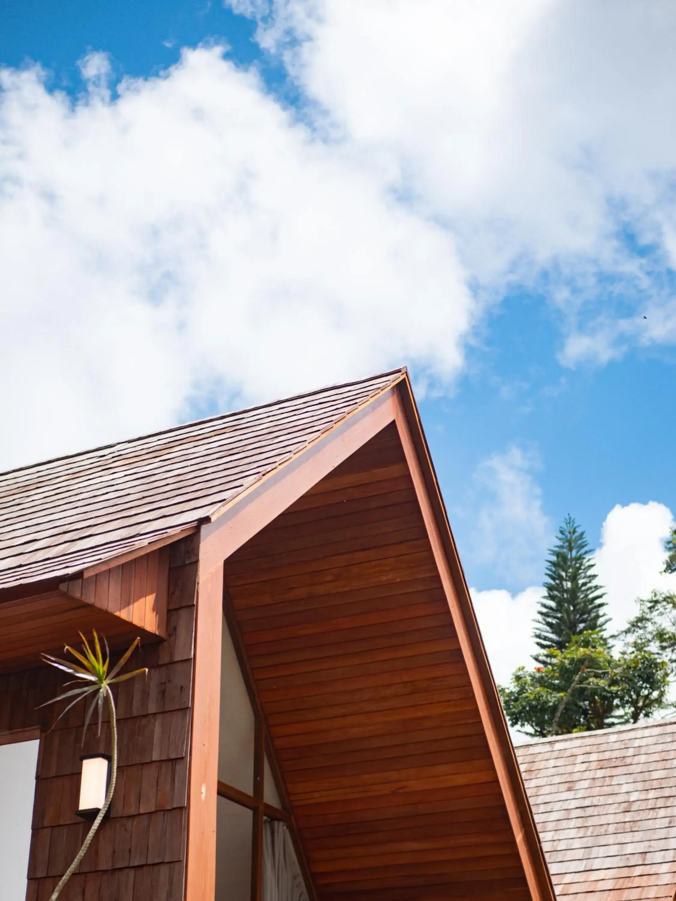 Property building in Catu Glamping Bedugul Property building in Catu Glamping Bedugul