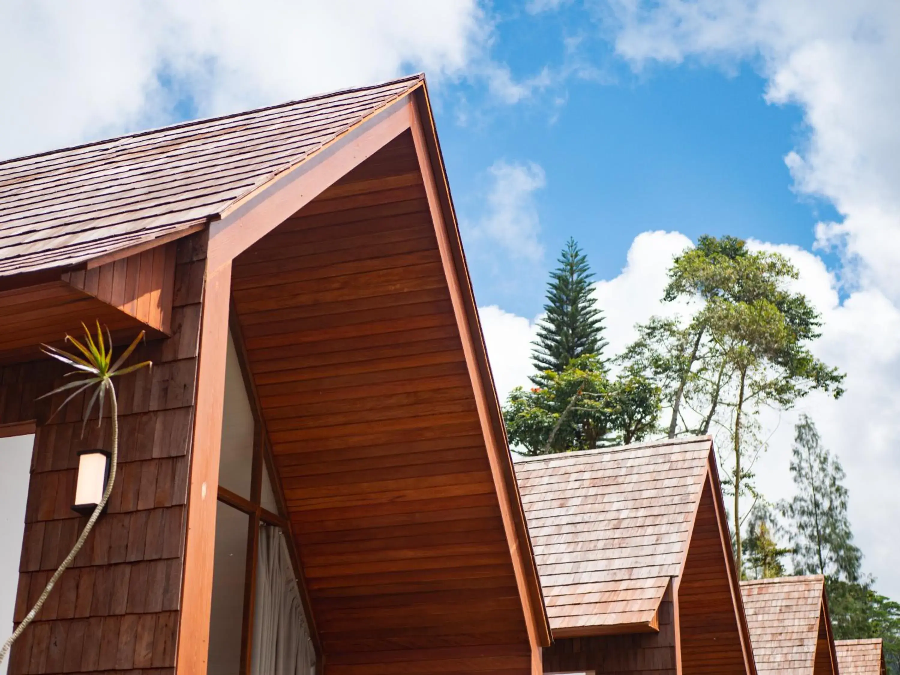 Property building in Catu Glamping Bedugul Property building in Catu Glamping Bedugul