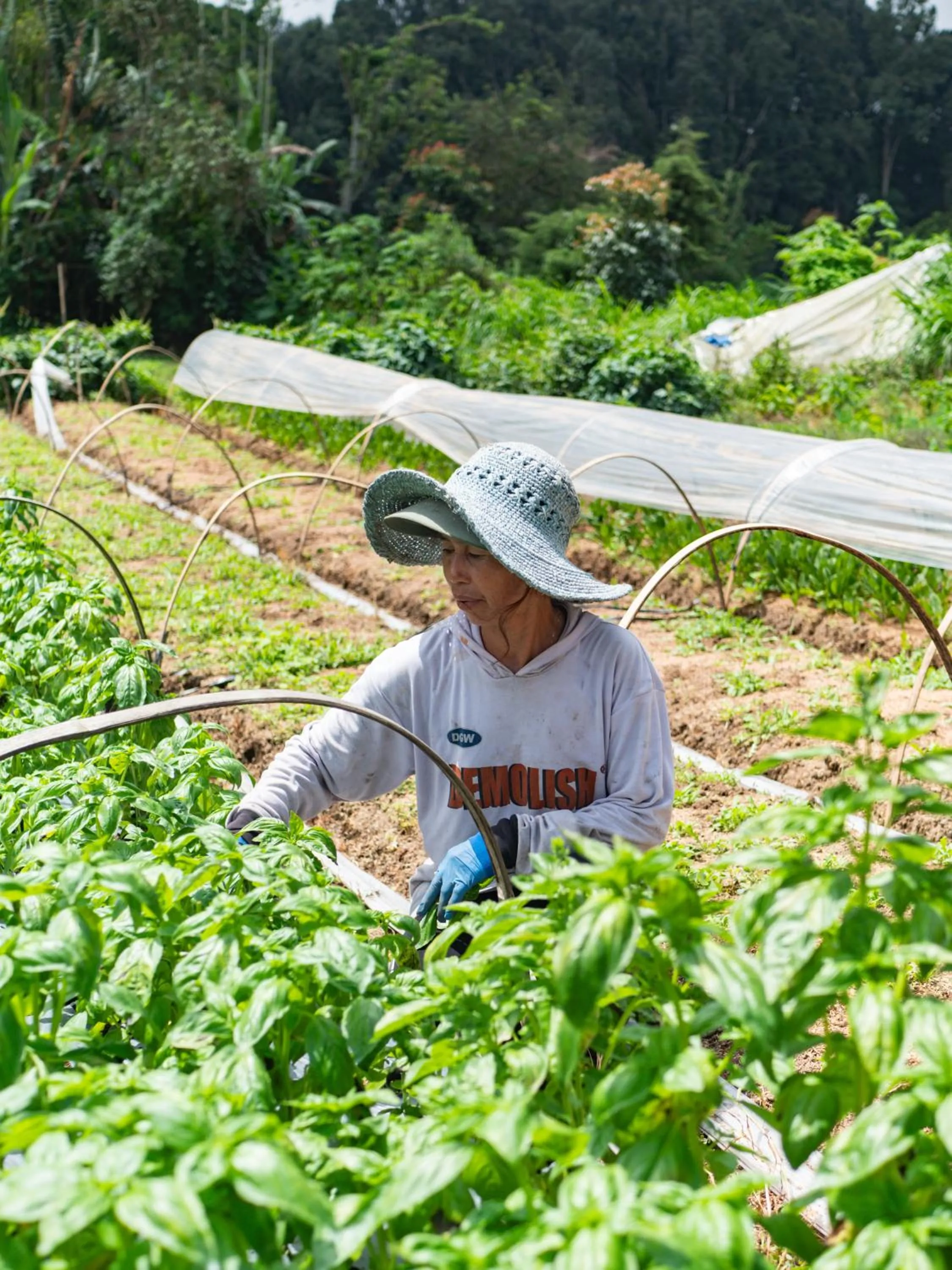 Balcony/Terrace in Catu Glamping Bedugul