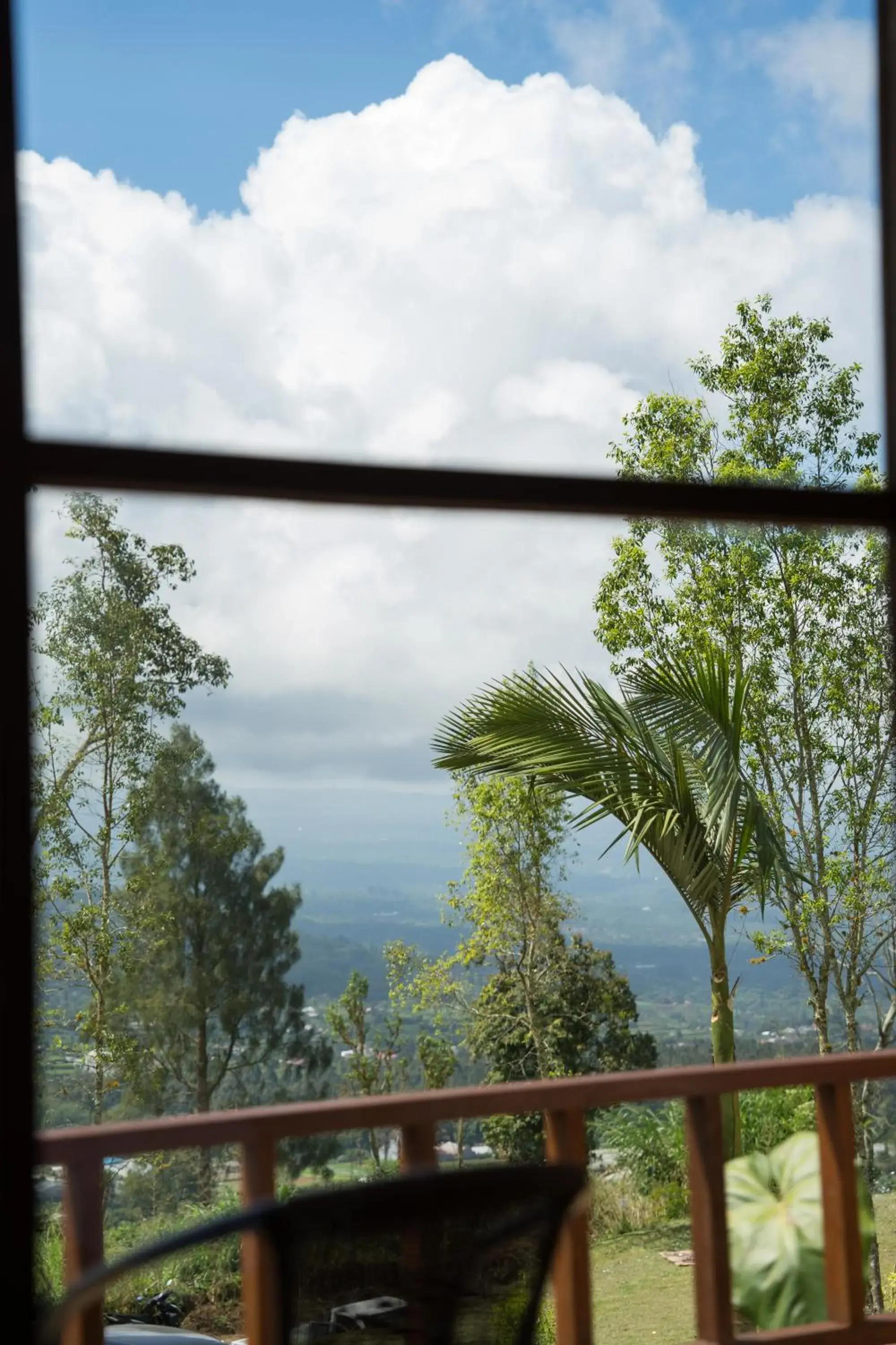 View (from property/room) in Catu Glamping Bedugul View (from property/room) in Catu Glamping Bedugul