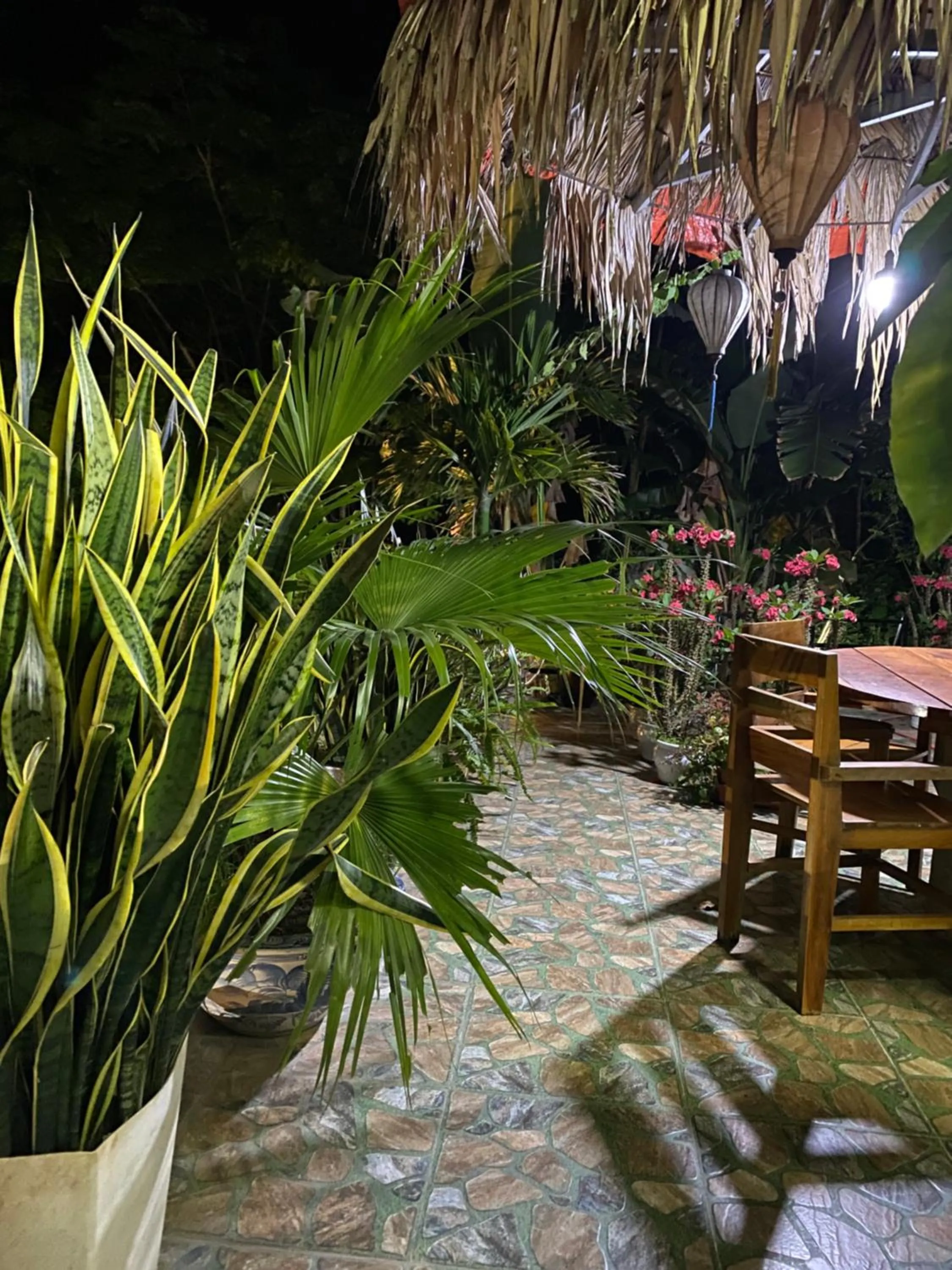 Thien Thanh Hotel