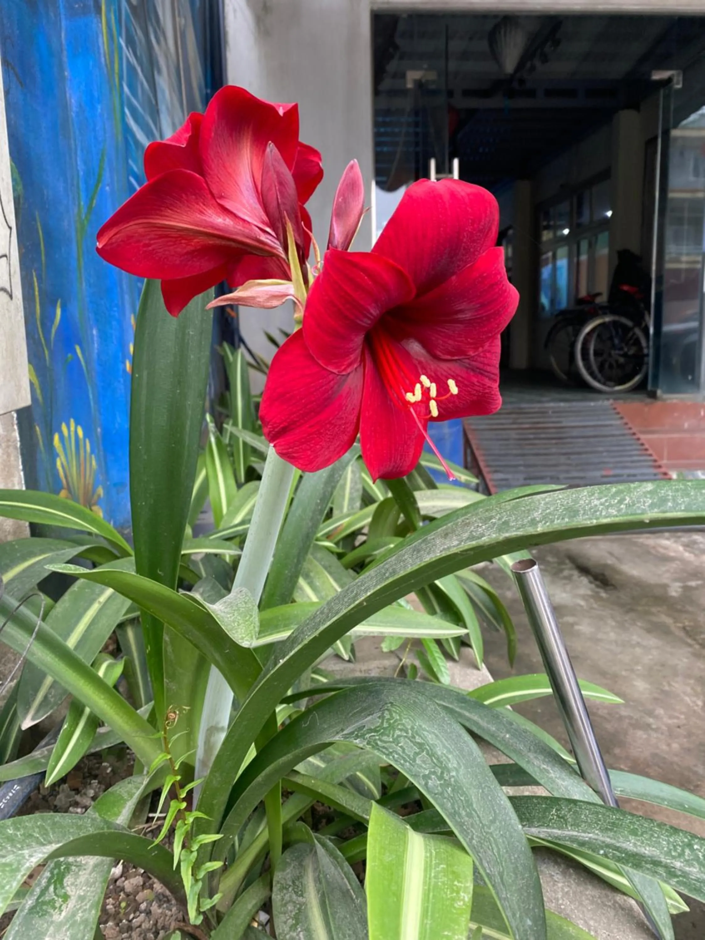 Thien Thanh Hotel