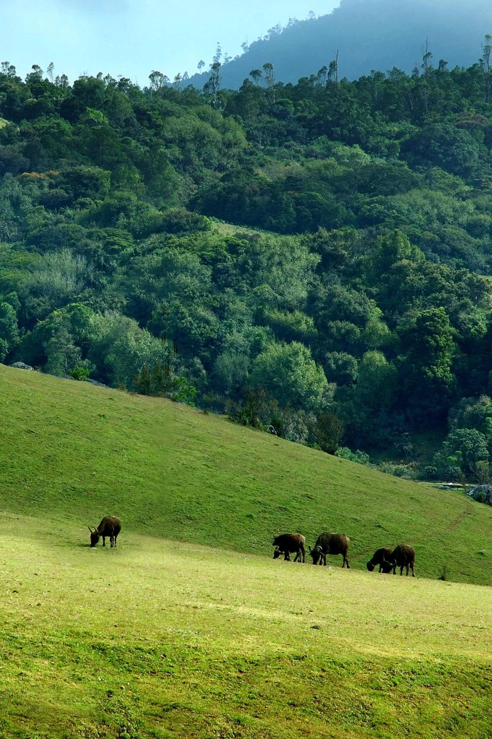 Day in Sabol Holidays