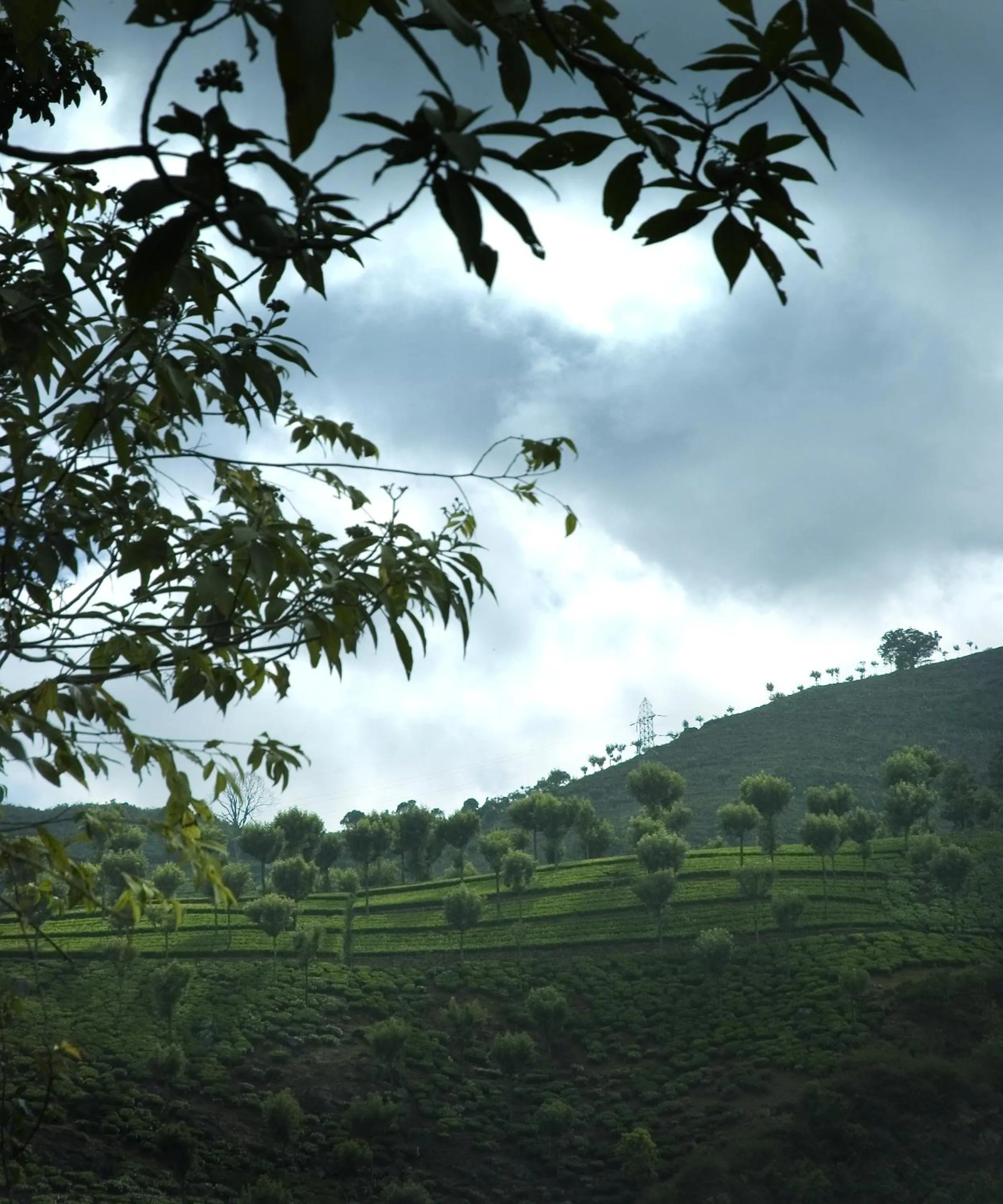Natural landscape in Sabol Holidays