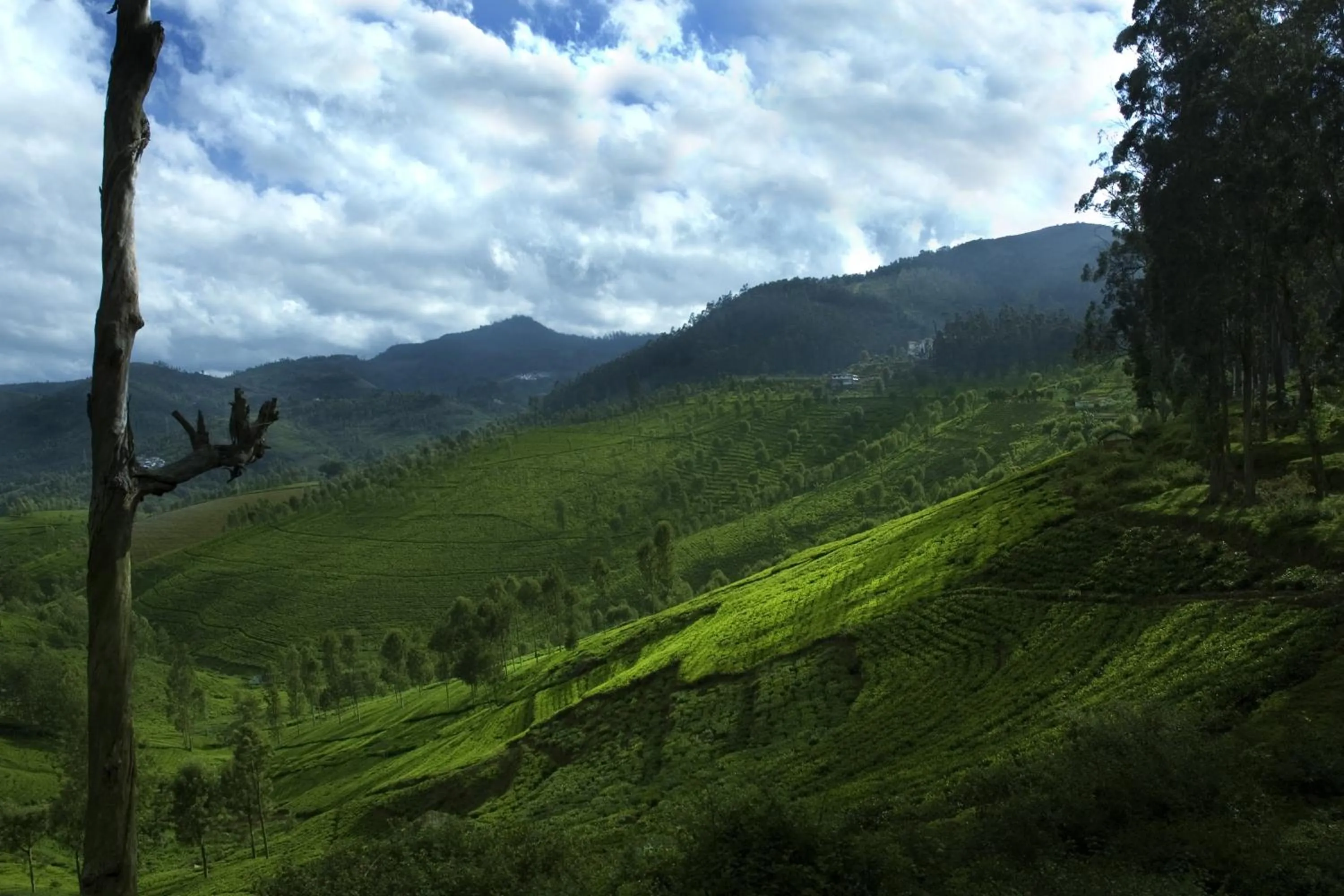 Natural landscape in Sabol Holidays