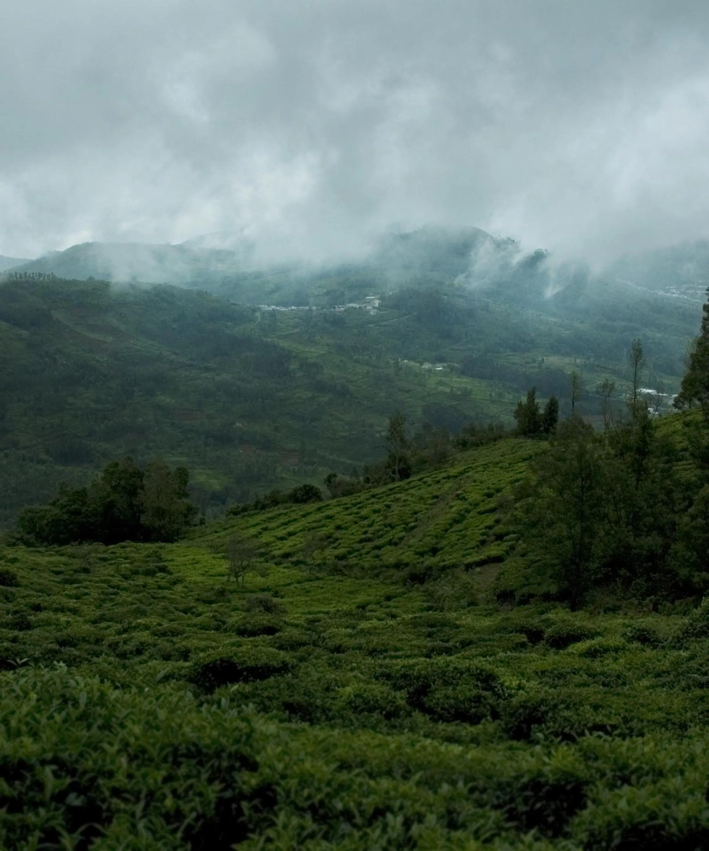 Natural landscape in Sabol Holidays