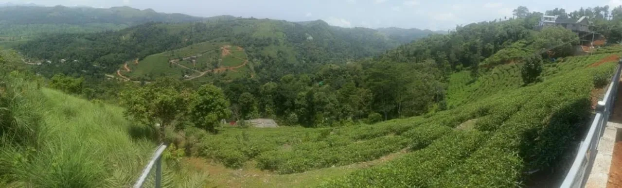 Mountain view in Dusk Vistas Resort