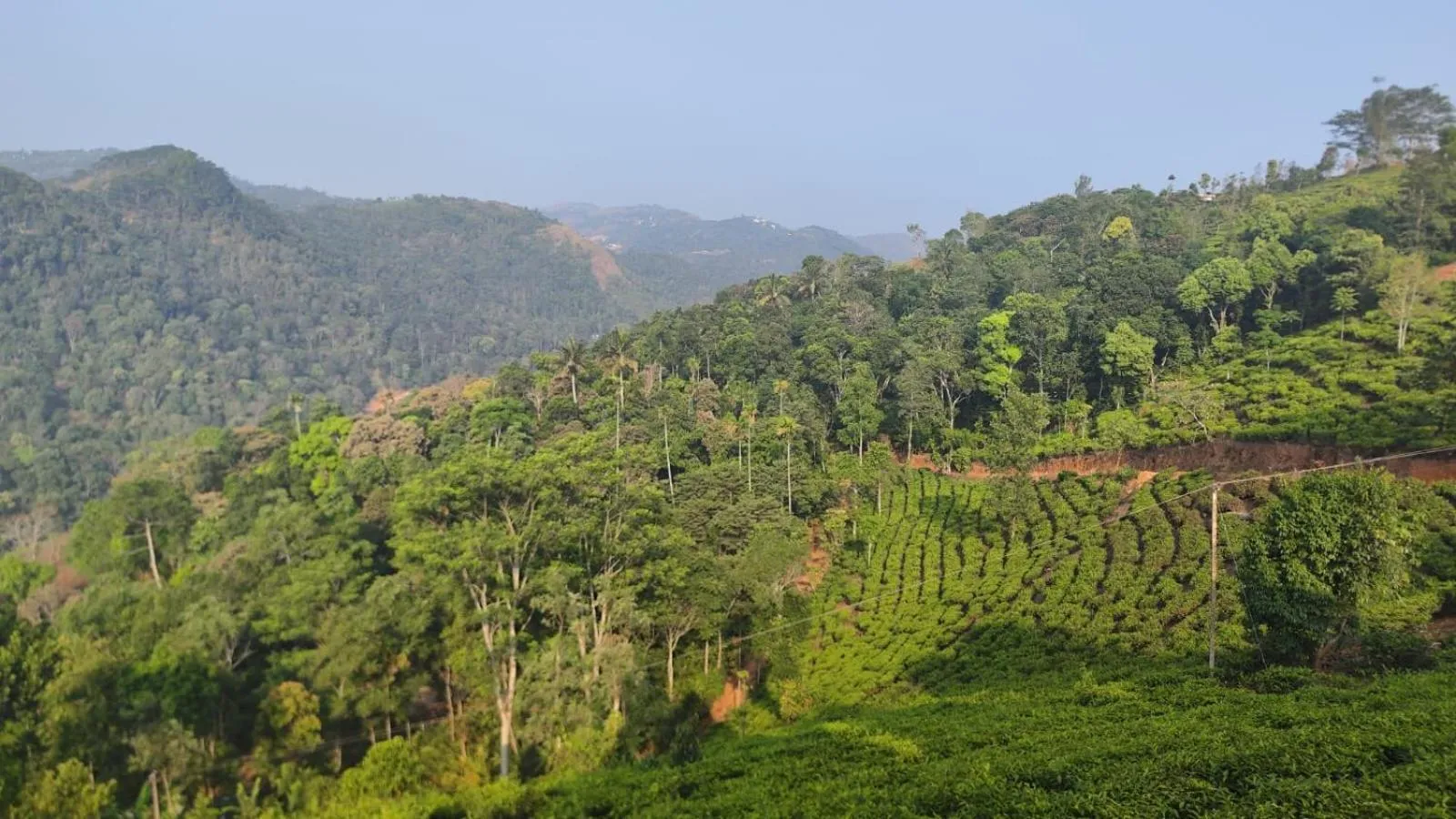 Spring in Dusk Vistas Resort