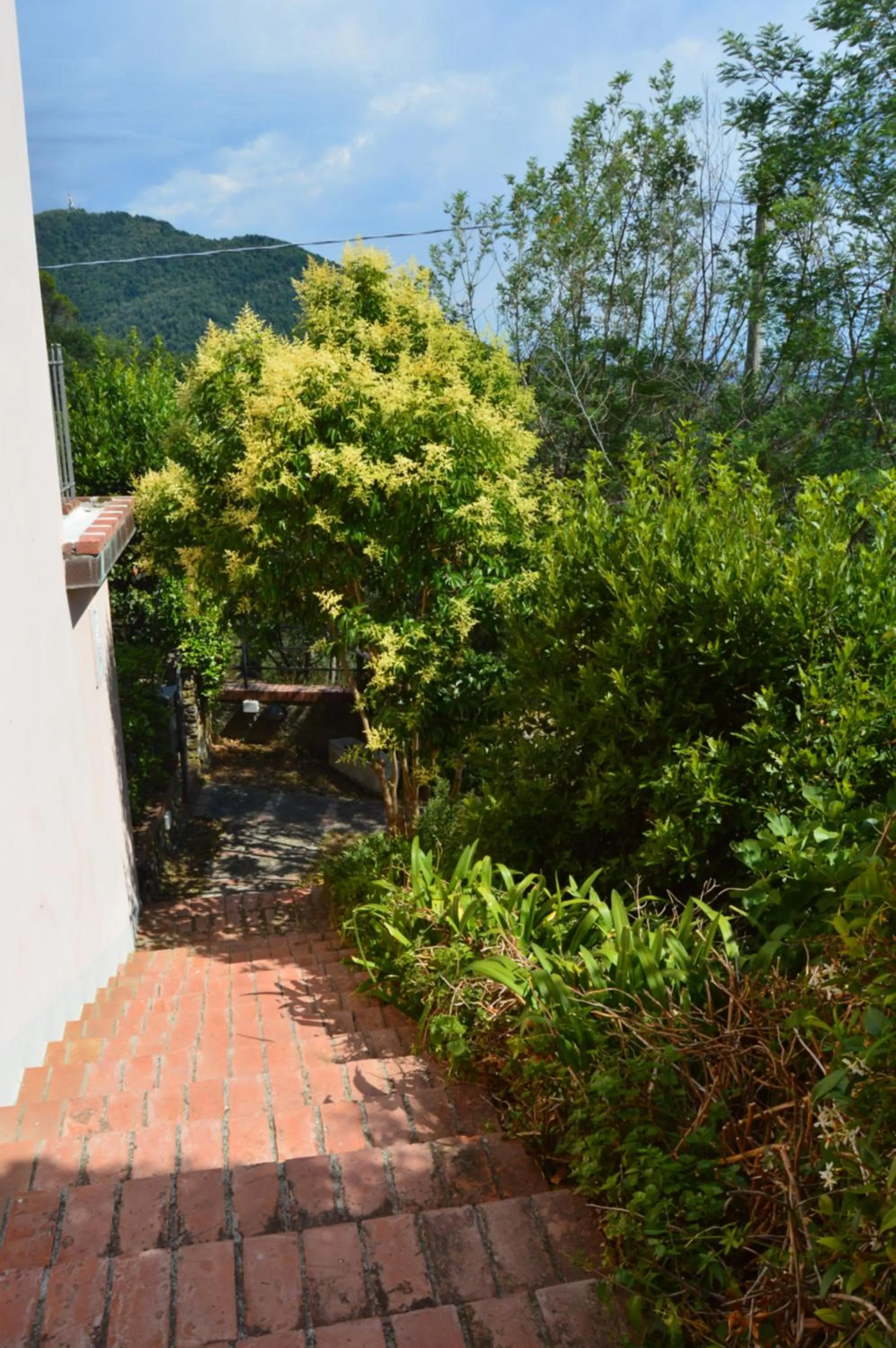 Garden in Casa Sarticola