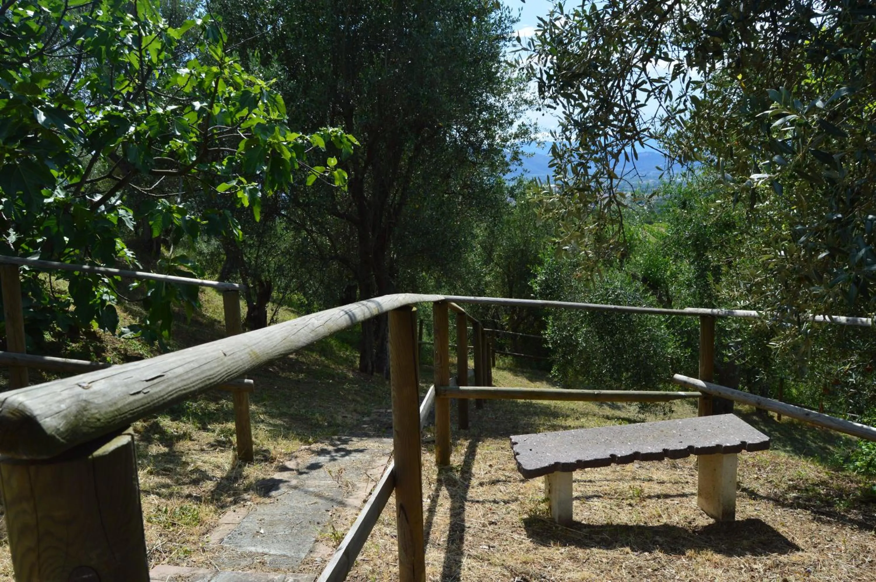 Garden in Casa Sarticola