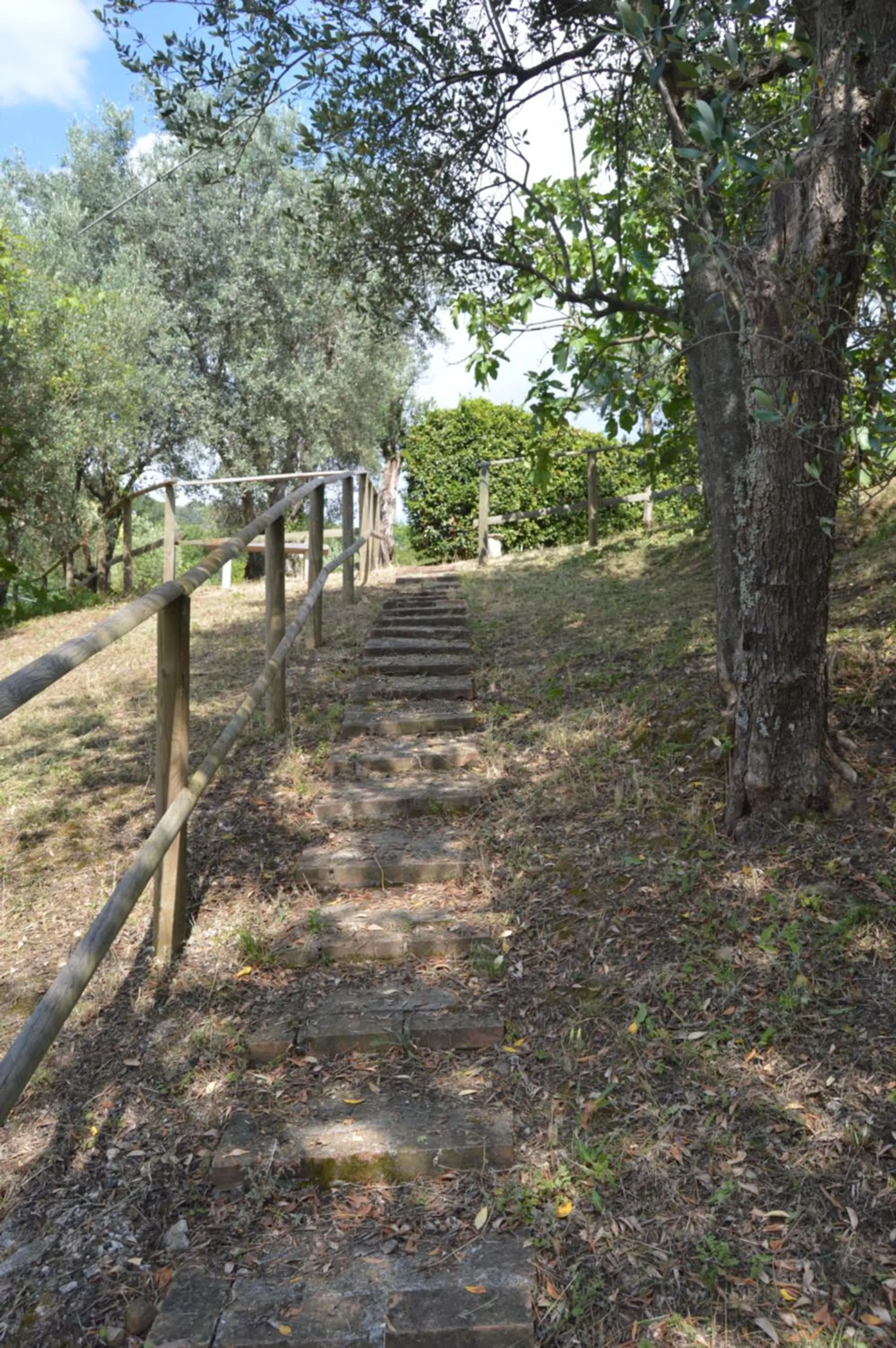 Garden in Casa Sarticola