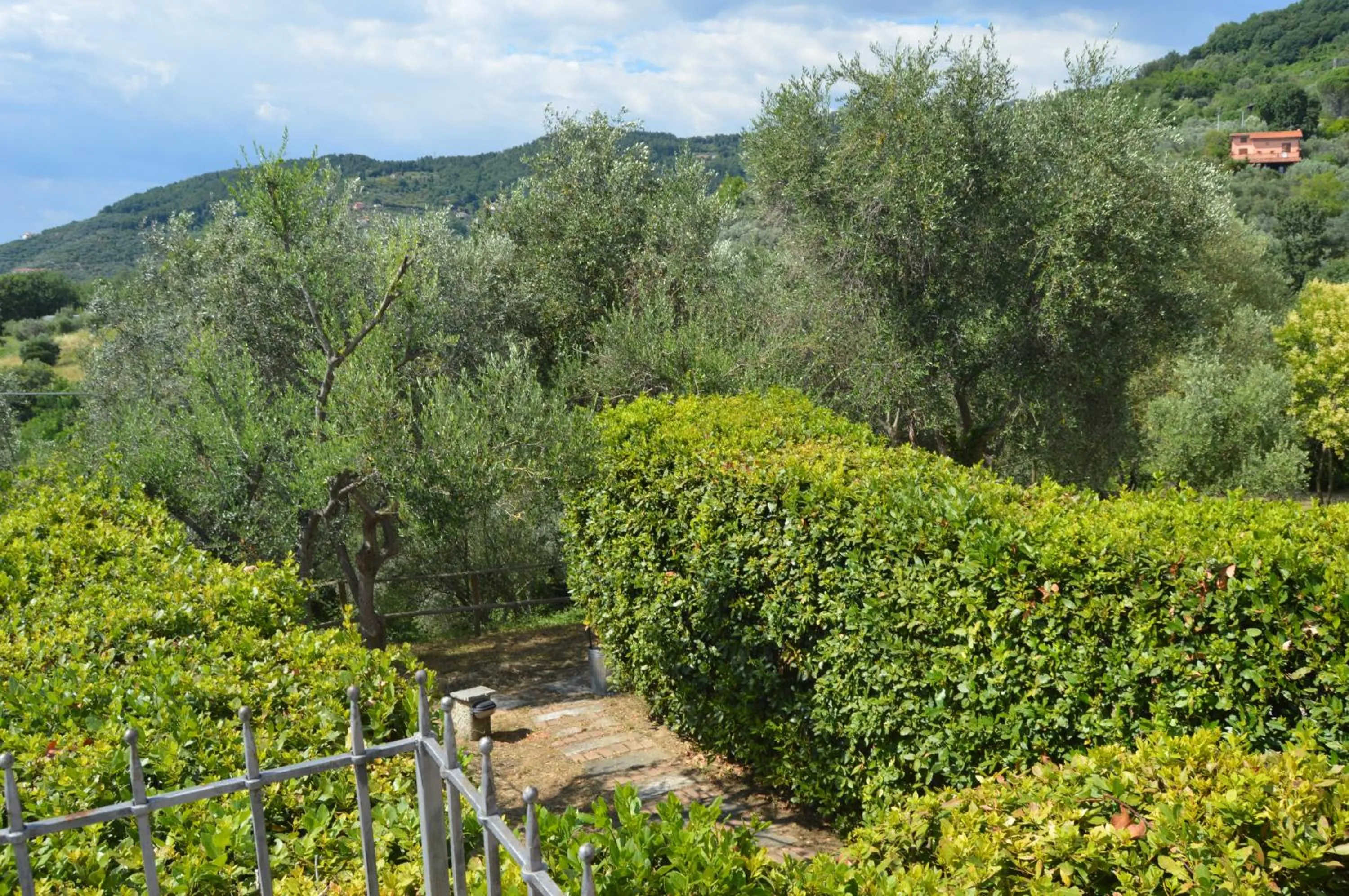 Garden in Casa Sarticola