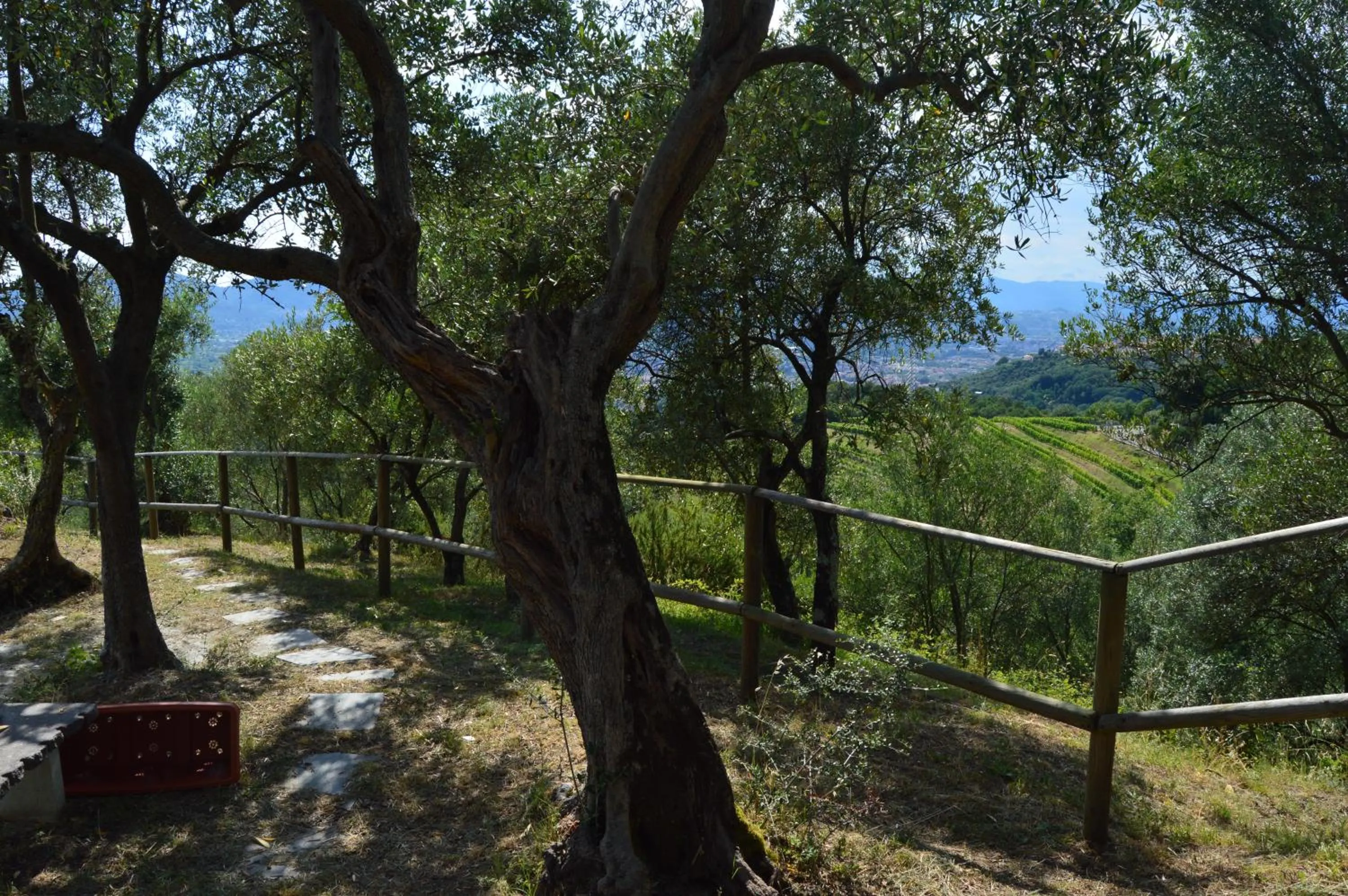 Garden in Casa Sarticola