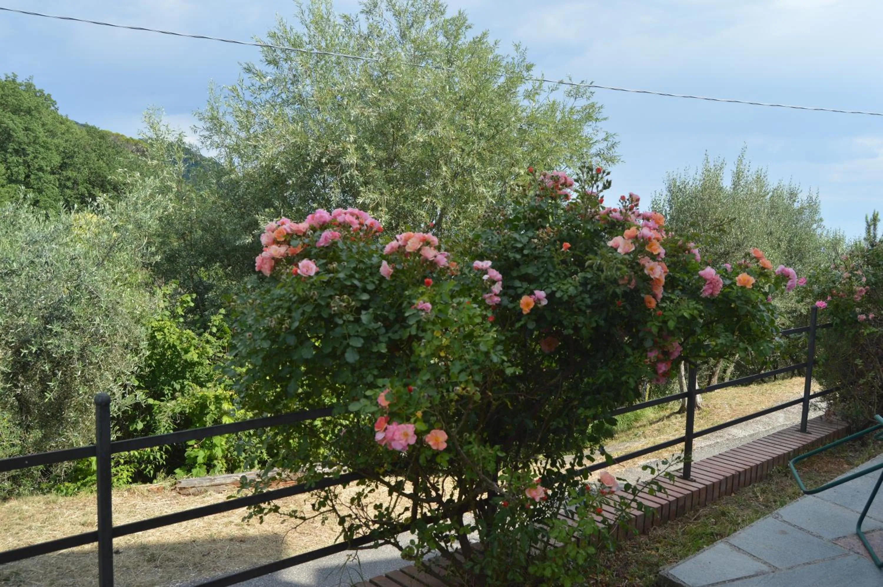 Garden in Casa Sarticola