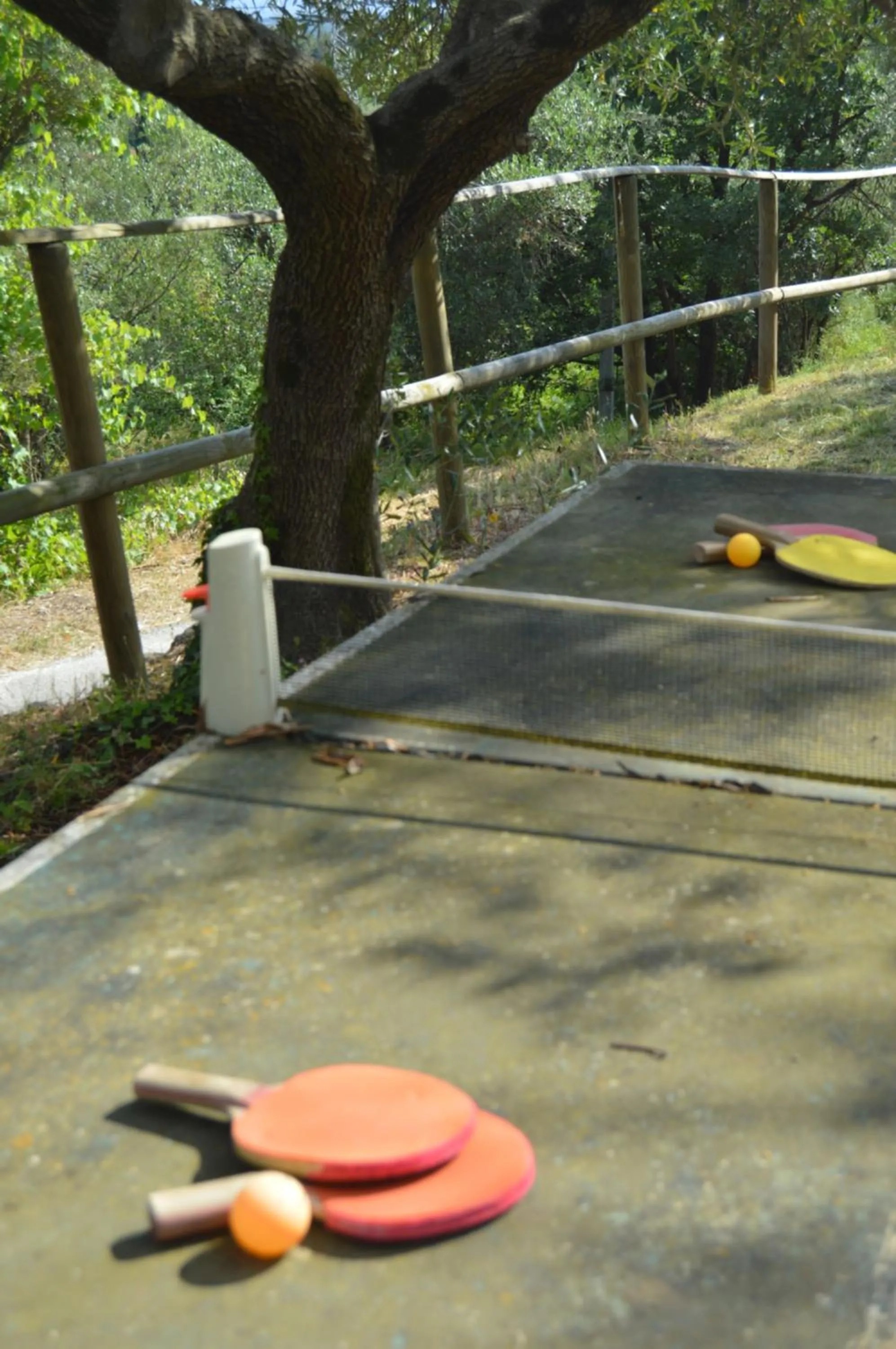 Area and facilities in Casa Sarticola