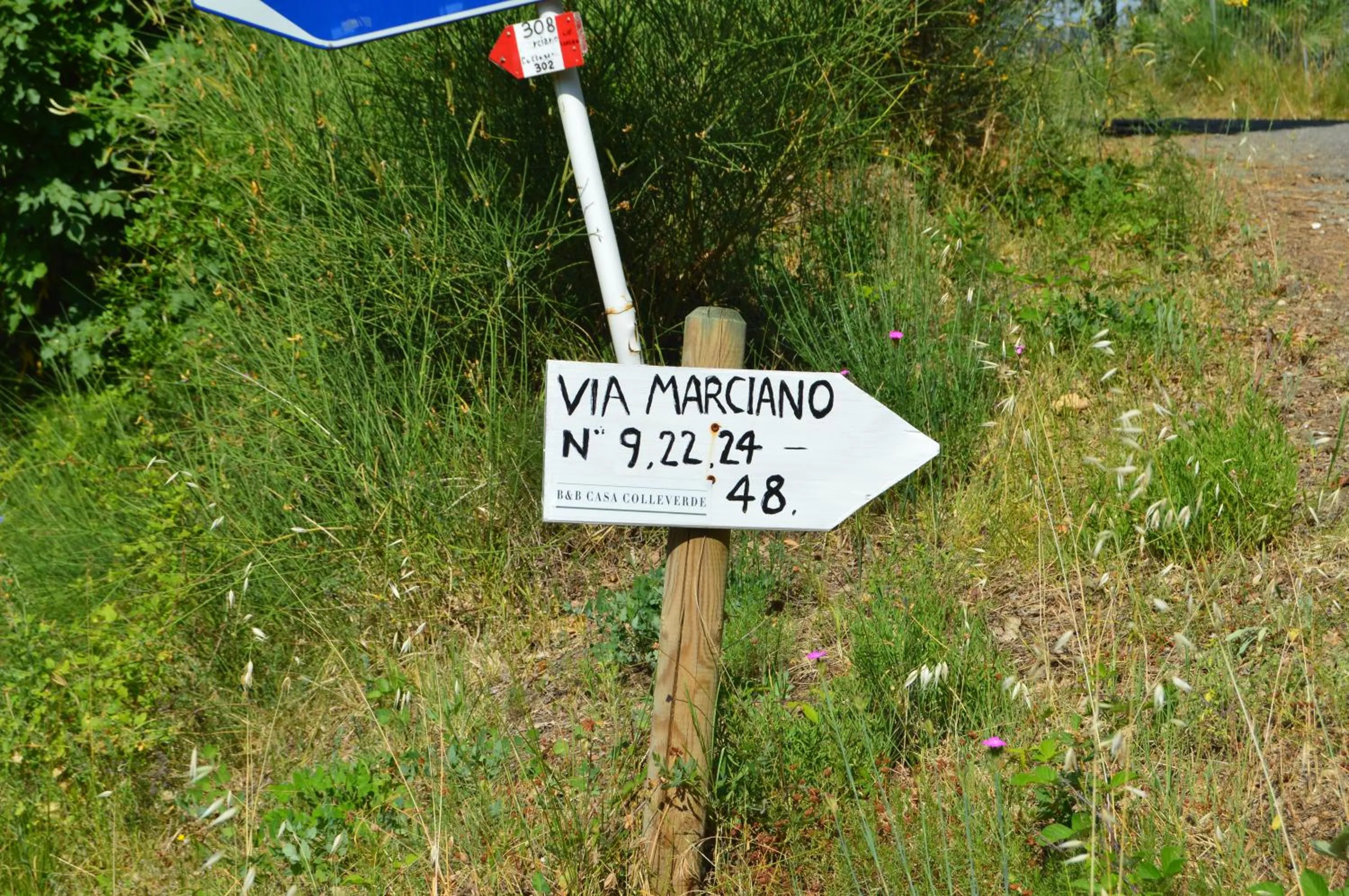 Neighbourhood in Casa Sarticola